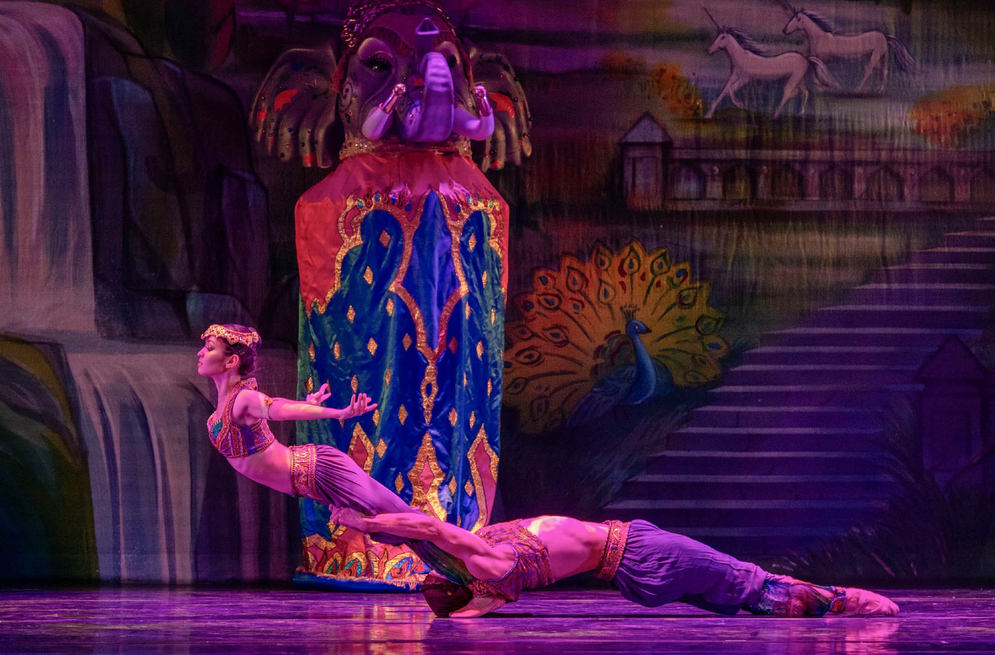 BALLETT. Fotograf in Köln, Bonn, Düsseldorf, Krefeld