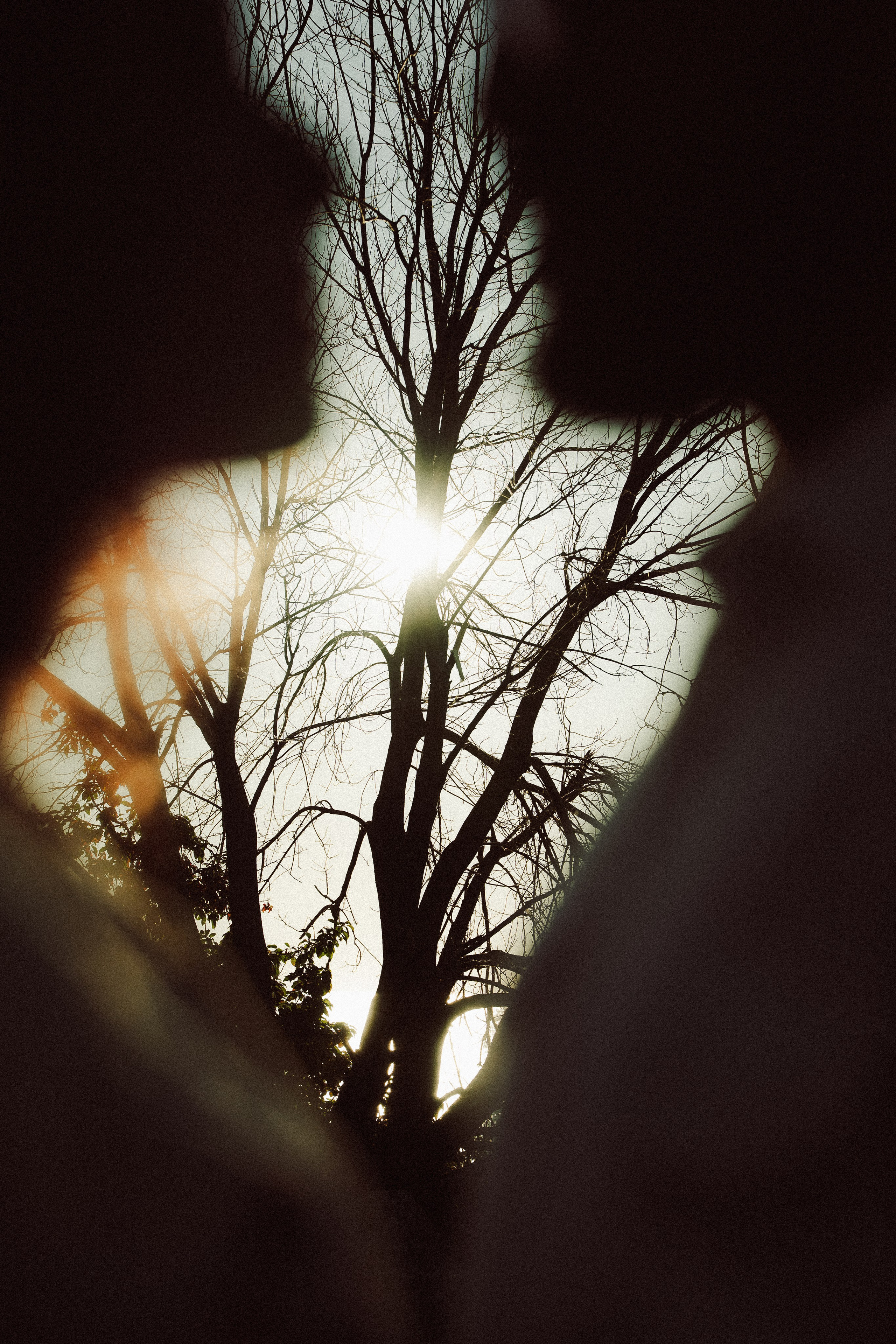 Moments that Breathe! Ft. Naveen & Soniya. Fine art Wedding Photographers in India & Canada