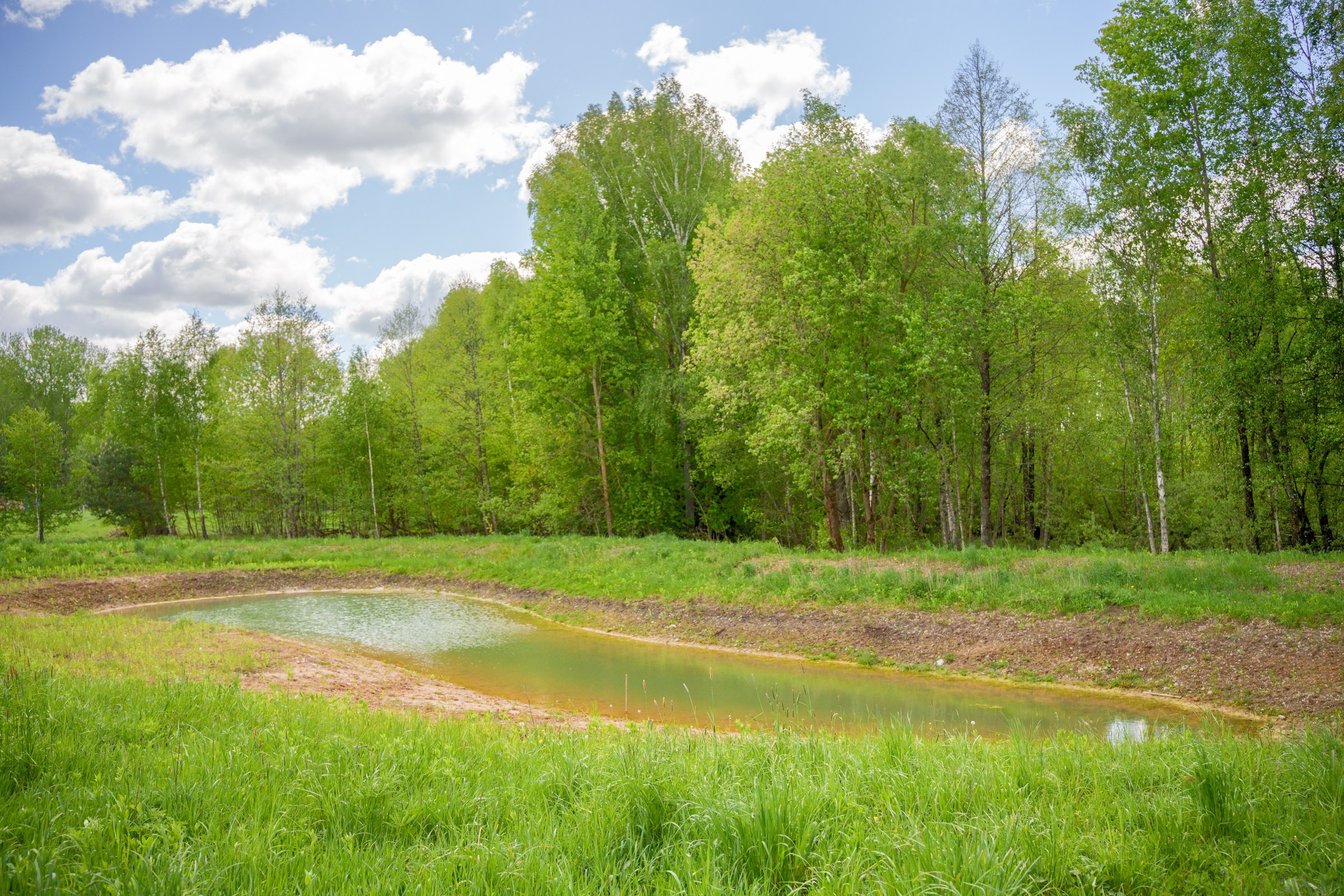 Kernavė. Elina Sapiega fotografė Vilniuje