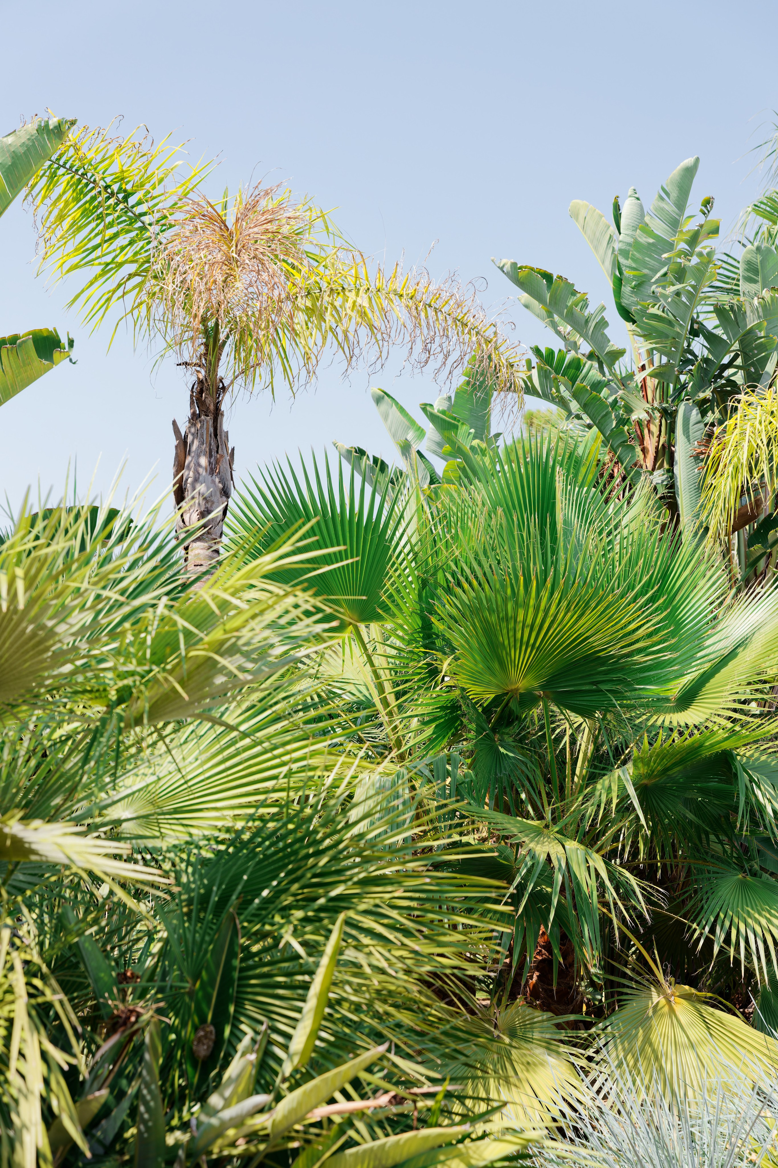 Indian wedding at Gran Villa Rosa, Barcelona