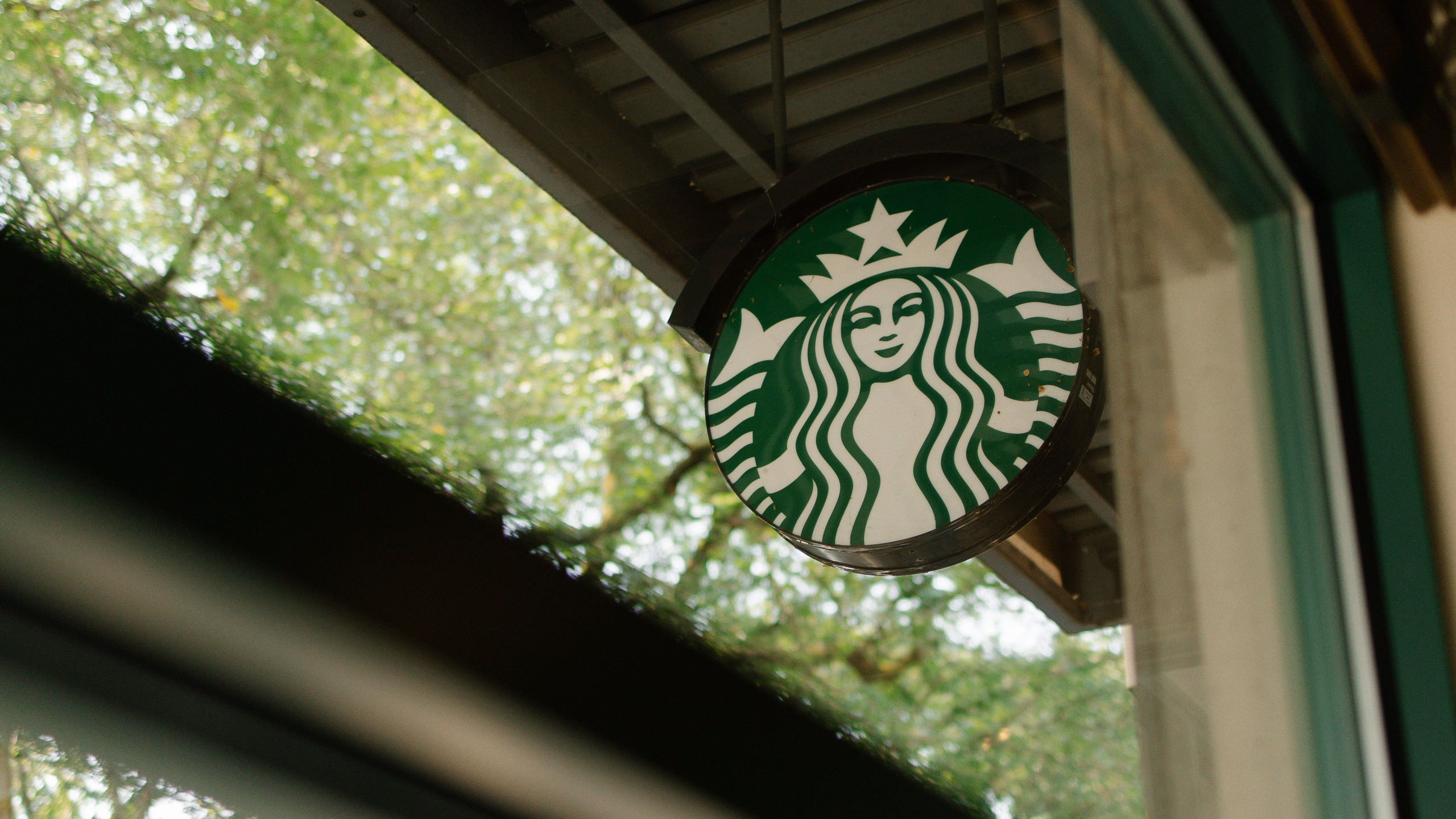 In the Quiet of City Chaos. Family photographer Oregon — Washington