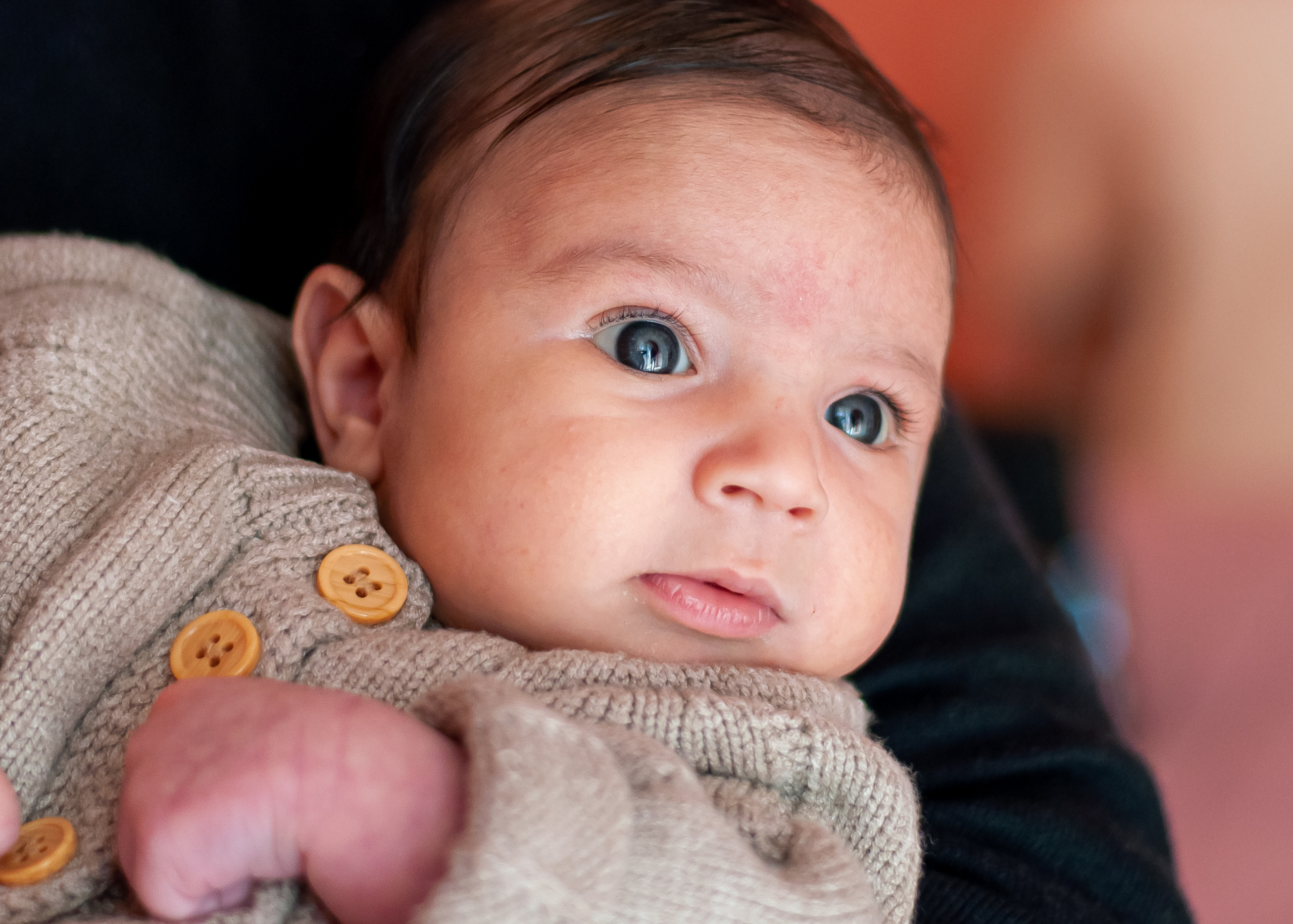 Sessione fotografica di famiglia a casa. Fotografo di famiglia