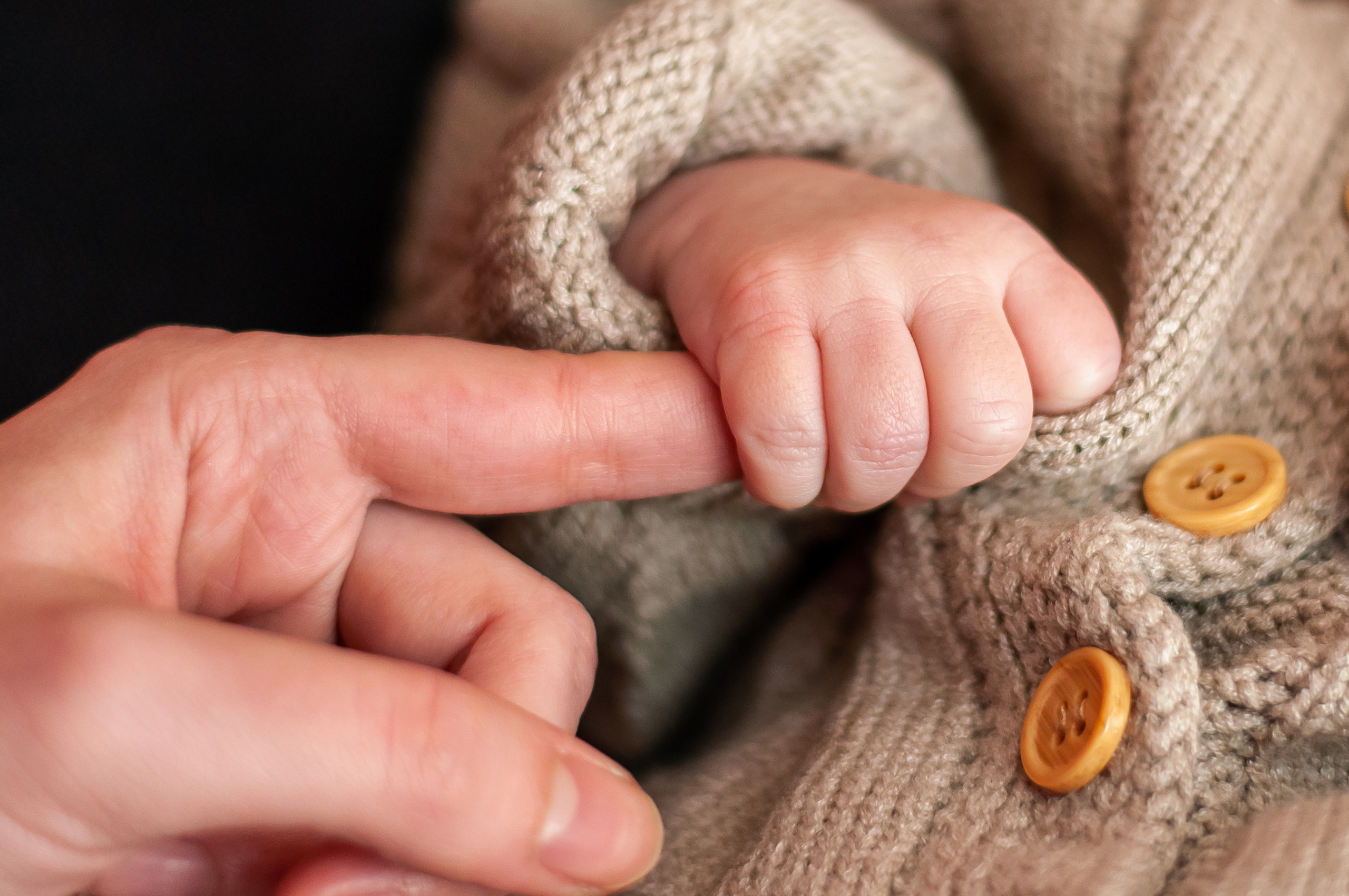 Sessione fotografica di famiglia a casa. Fotografo di famiglia
