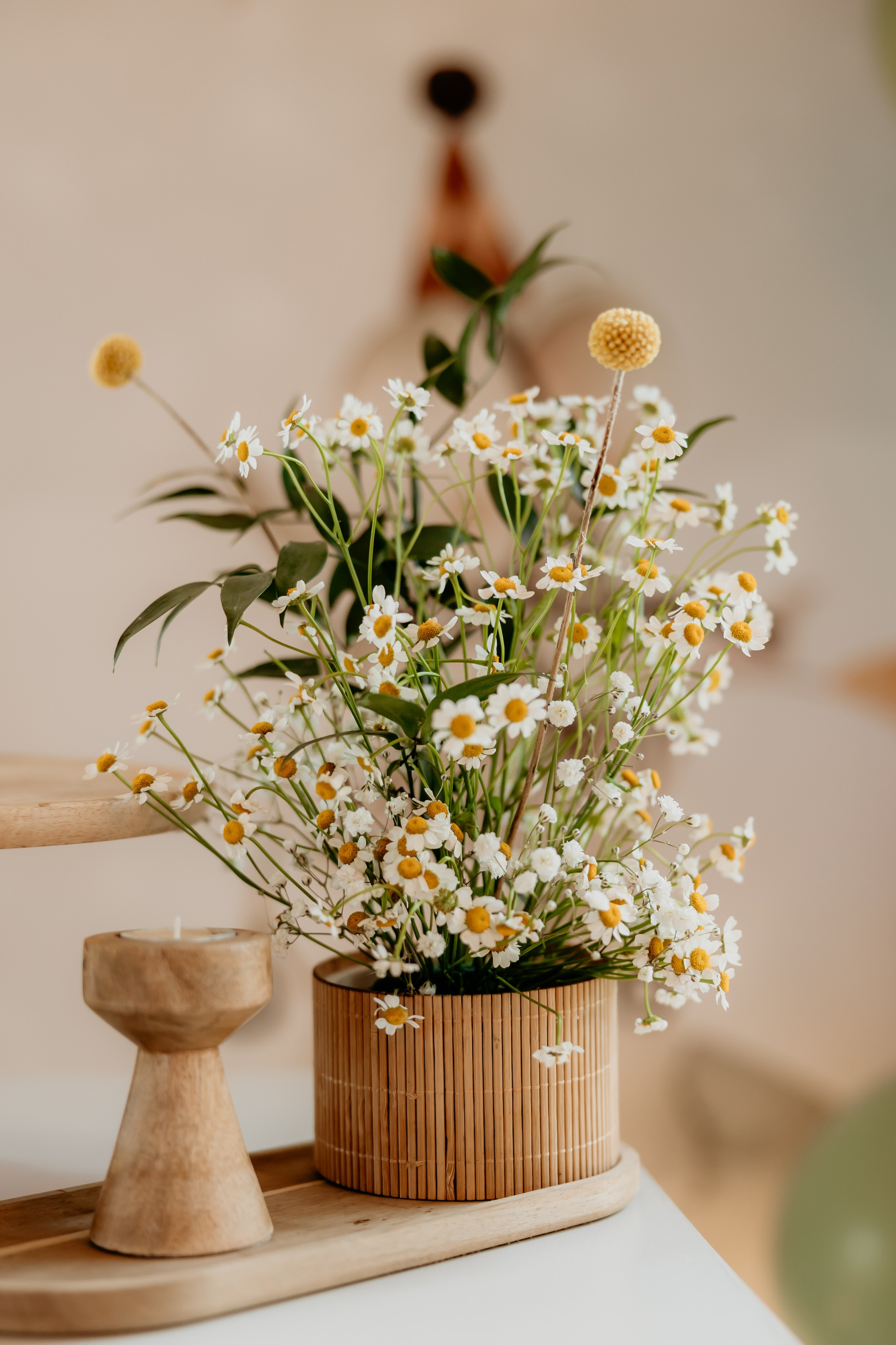 ROÐENDANAC. Family and children photographer in Belgrade Milja Ciric