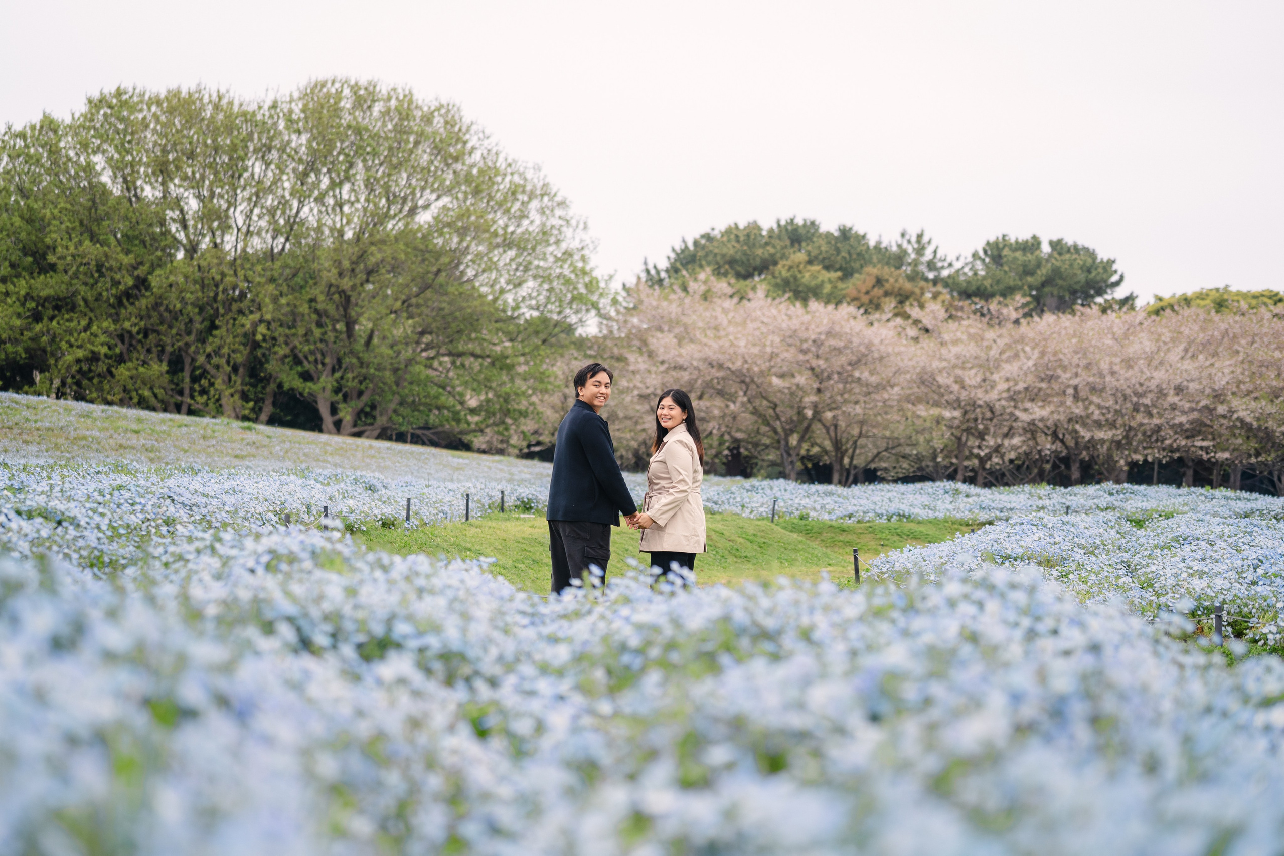 Nemophila Flower Photoshoot Uminonakamichi | Korean Drama Style Portraits Fukuoka. Portrait Photographer in Fukuoka, Japan | Alina Nazarova