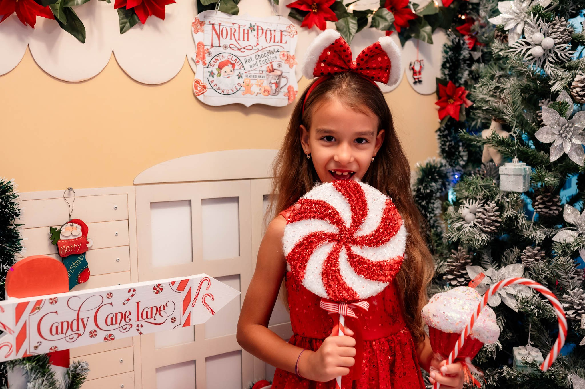 Sedinta Craciun Alina