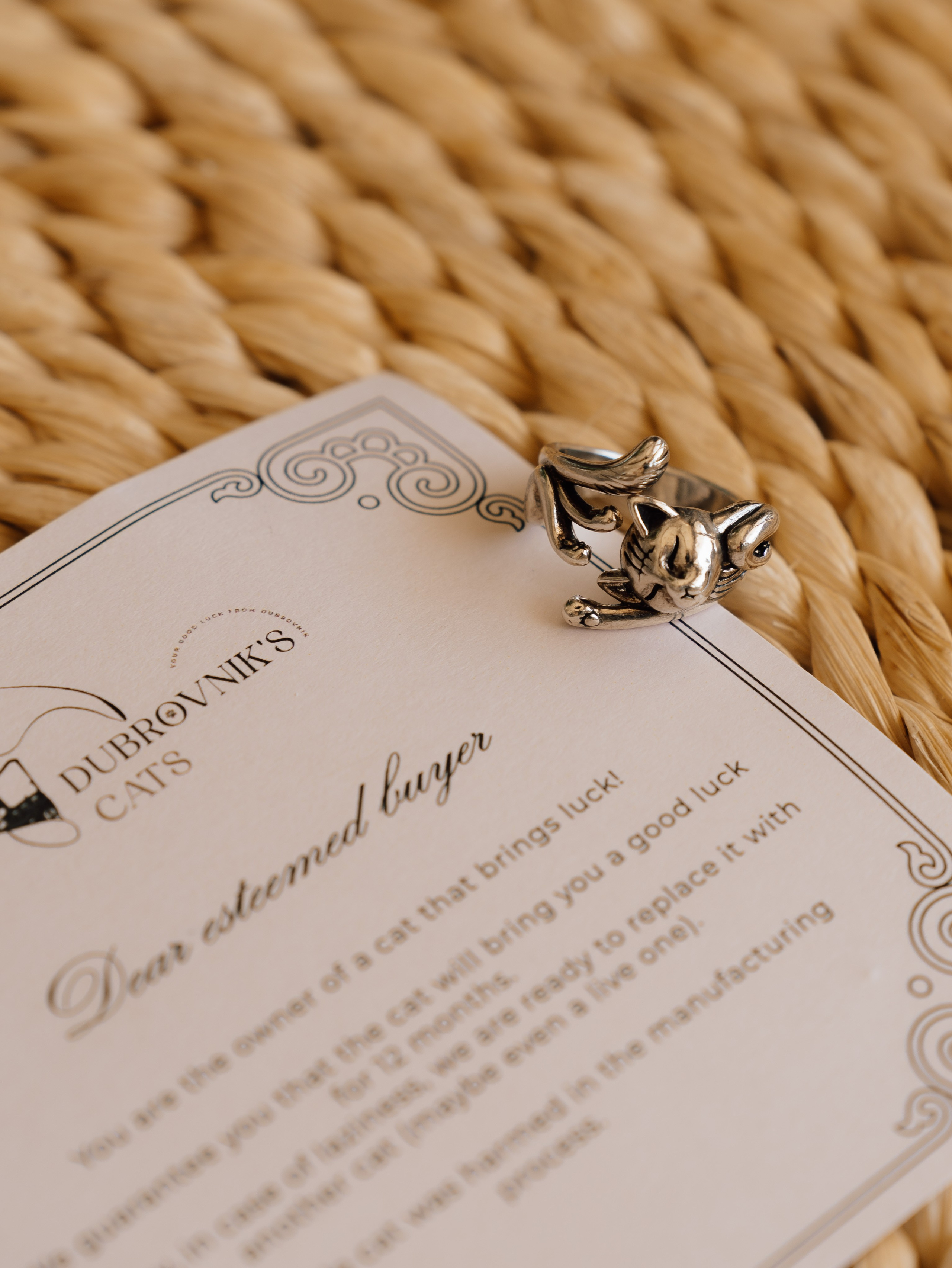 PROJECTS. PHOTOGRAPHER|VIDEOGRAPHER MONTENEGRO