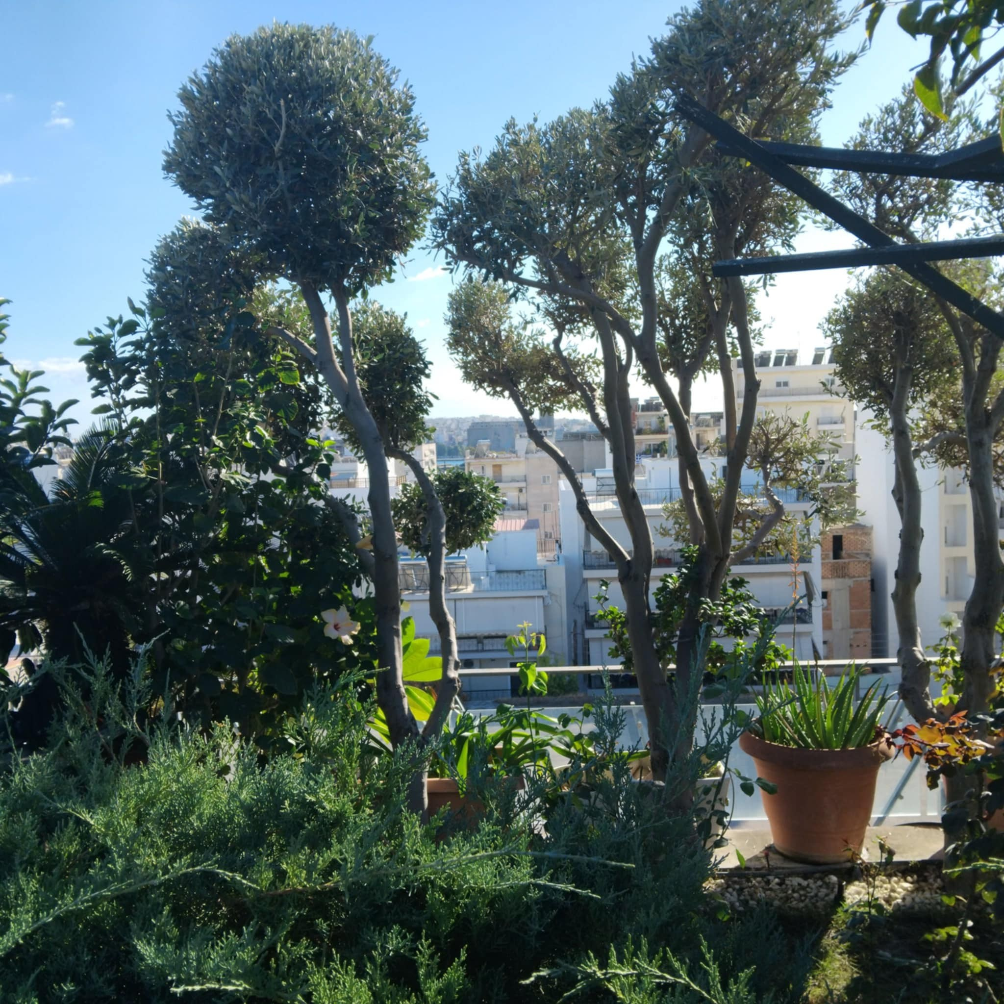 Κήπος Πειραιά. Geoponitikon-Όταν η Επιστήμη συναντά την Τέχνη στο Φυσικό Τοπίο!