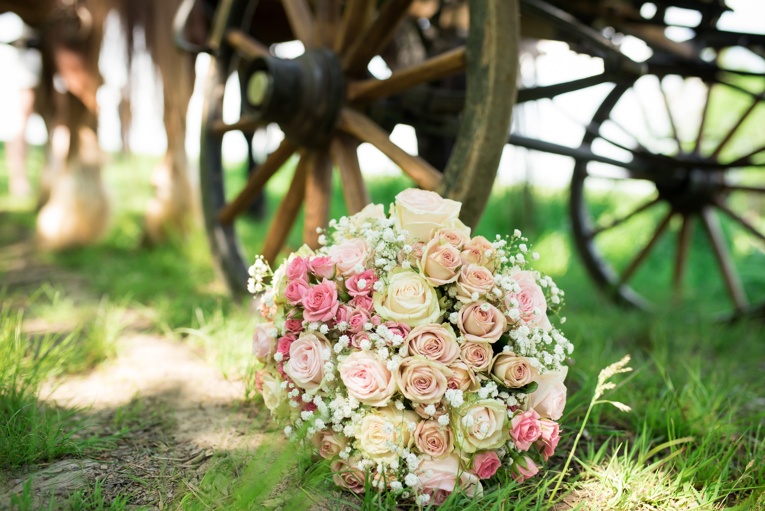 Svatby. Fotogaf v Praze Dmitriy Lisniak