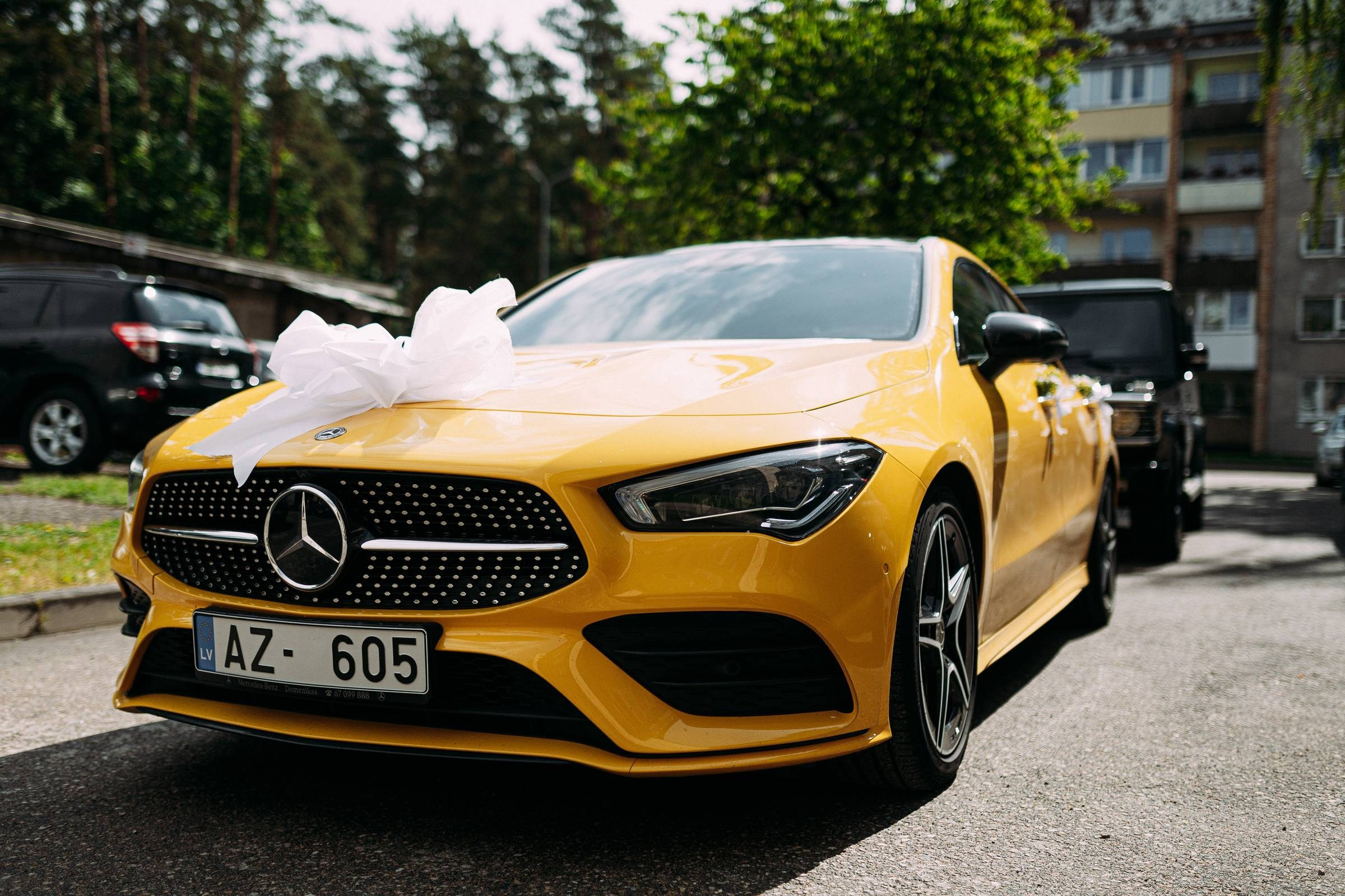 DZELTENAIS VAIRO PRIEKU