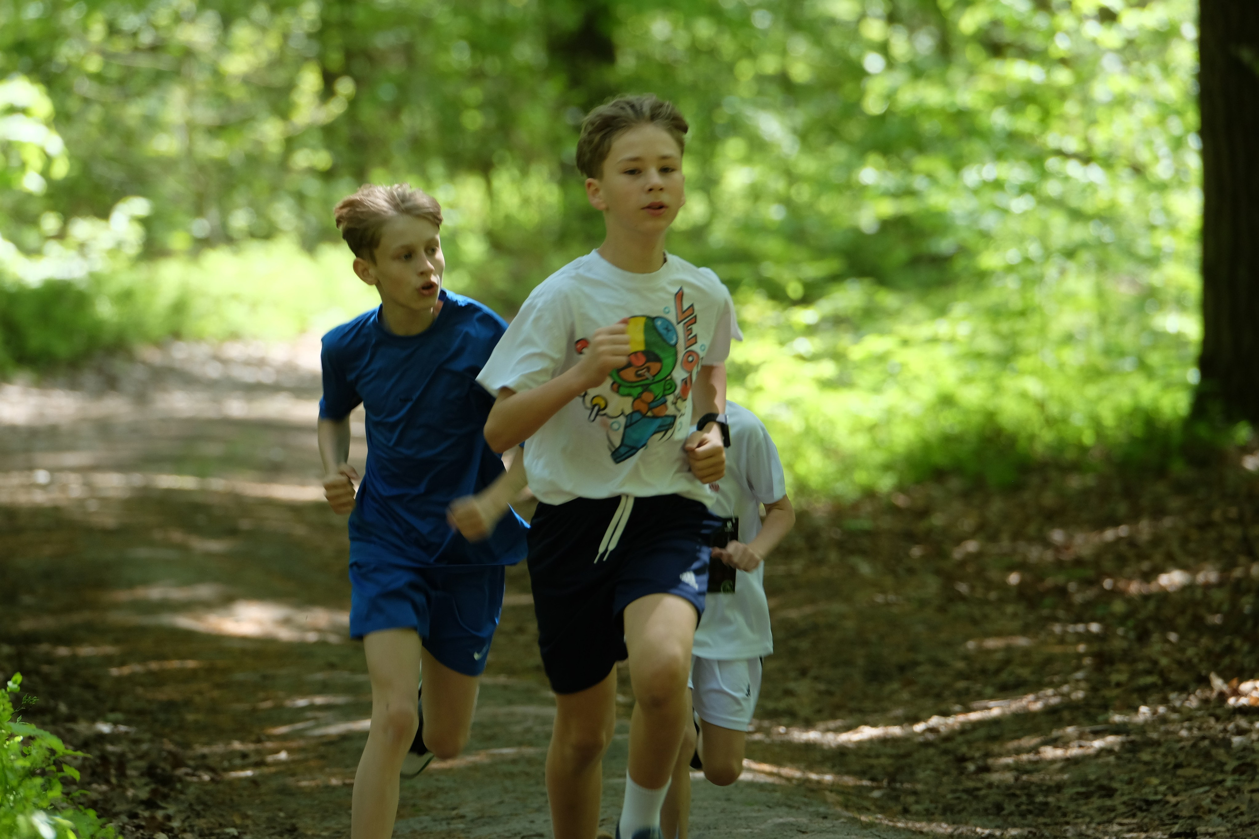 Aleksandryjska Piątka po lesie. Main