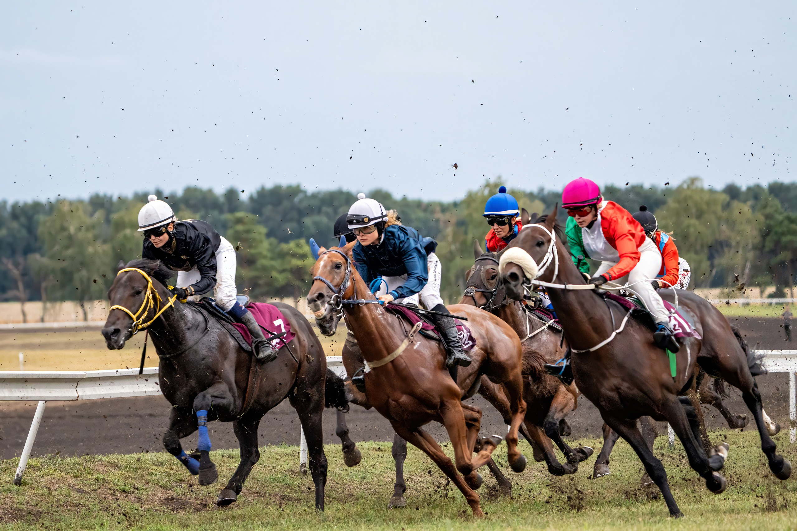 Sport. Wedding photography