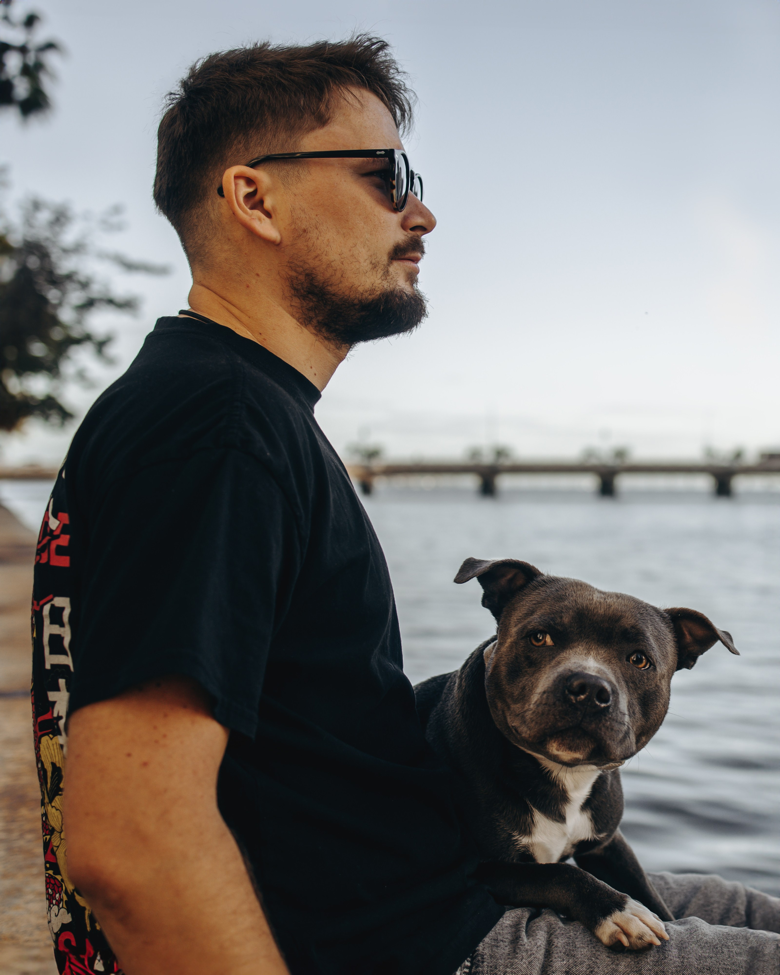 Cosmo & Serge. Pet Photographer Viktoriya Aleshenko