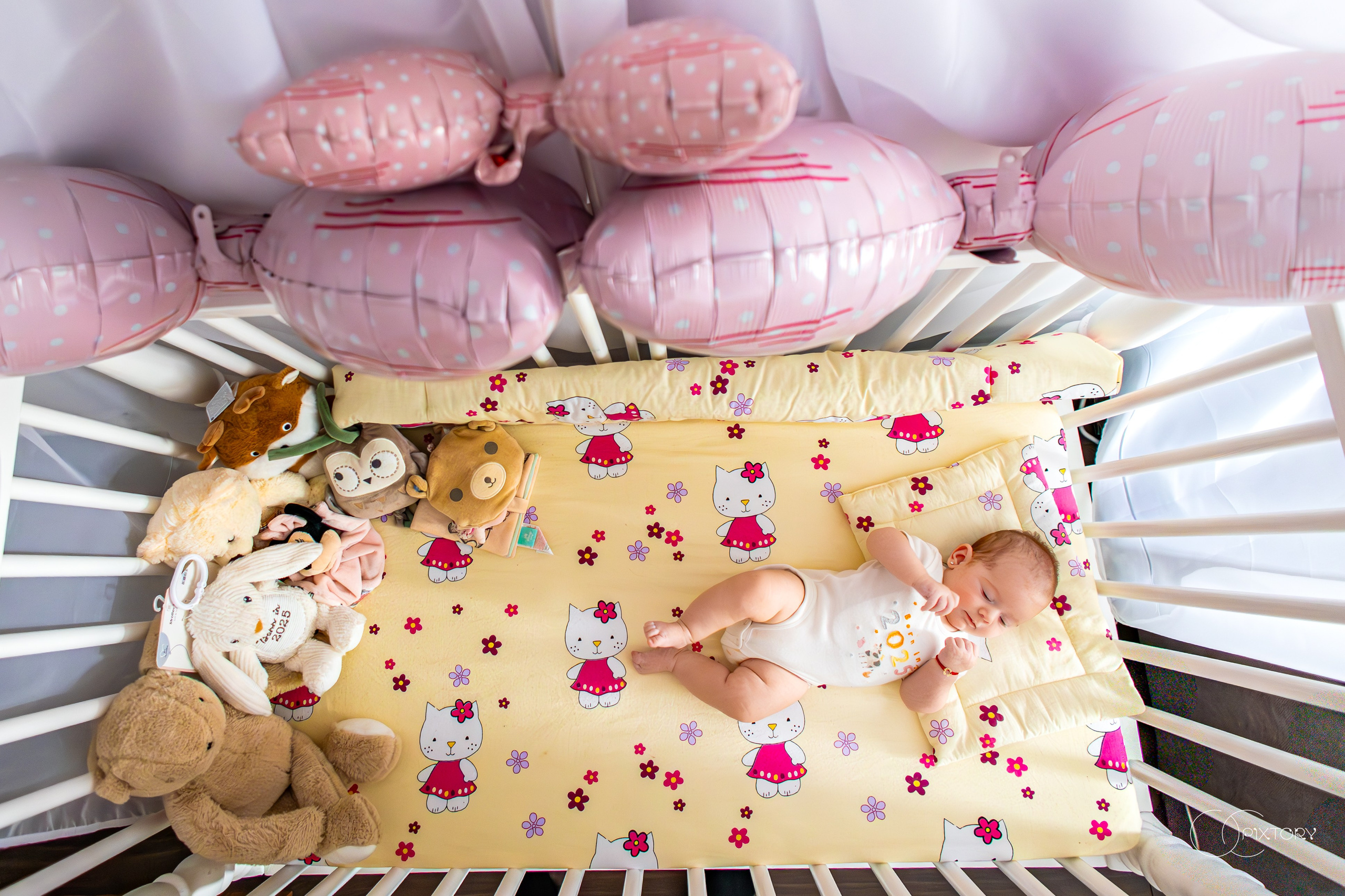 Botez. Fotograf și Videograf Nuntă & Evenimente | Pixtory - Constanta