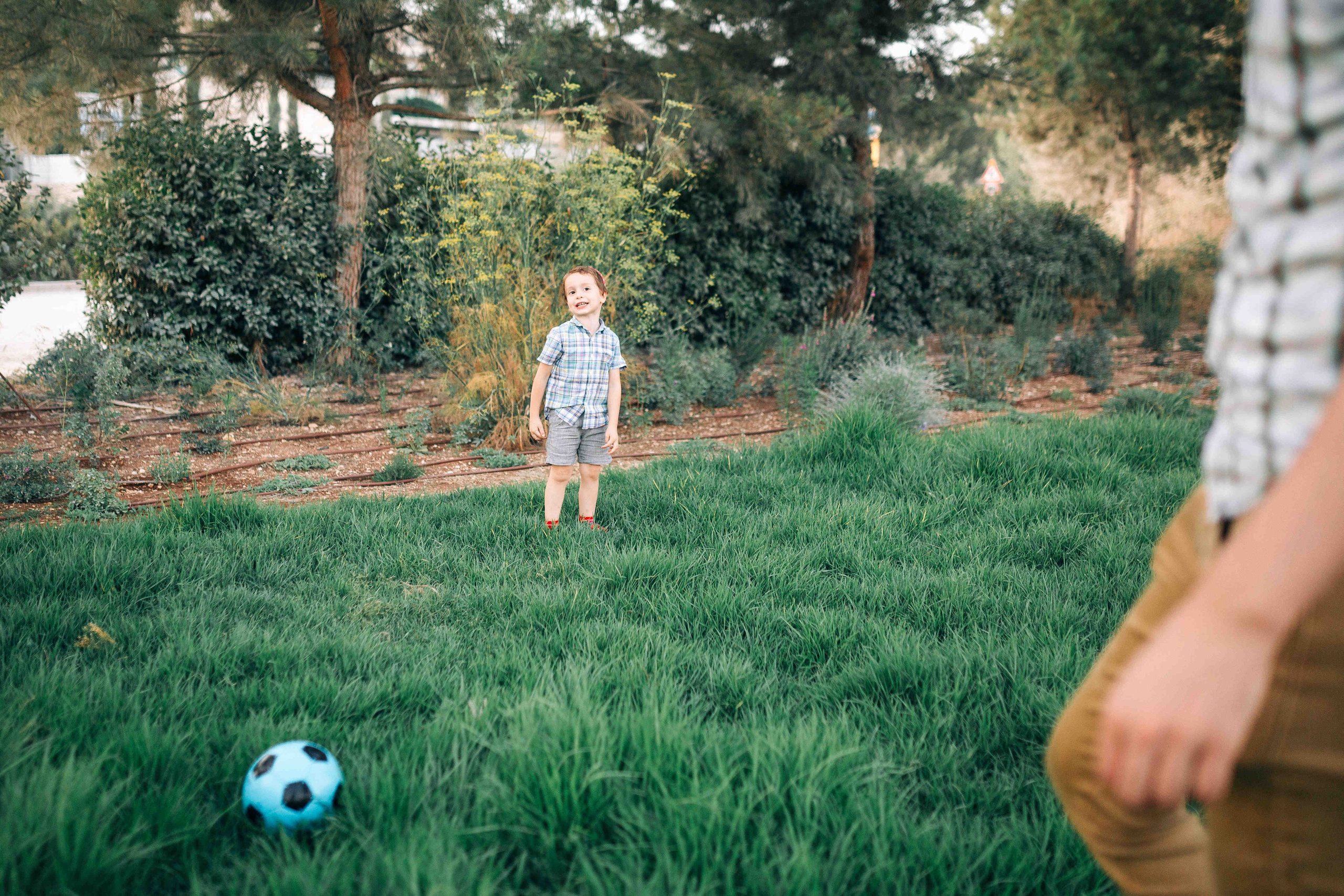 VALLEY OF GAZELLES, JERUSALEM. PHOTOGRAPHER IN ISRAEL