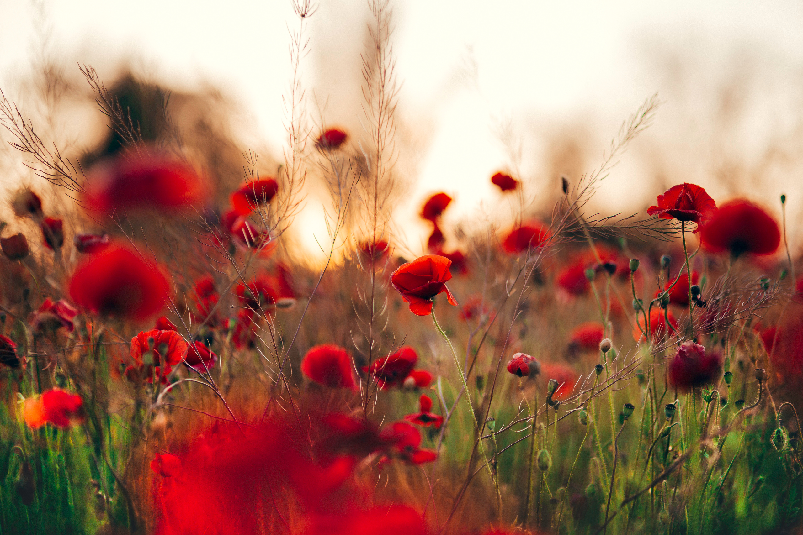 Travel2. Wedding & Comercial Photography