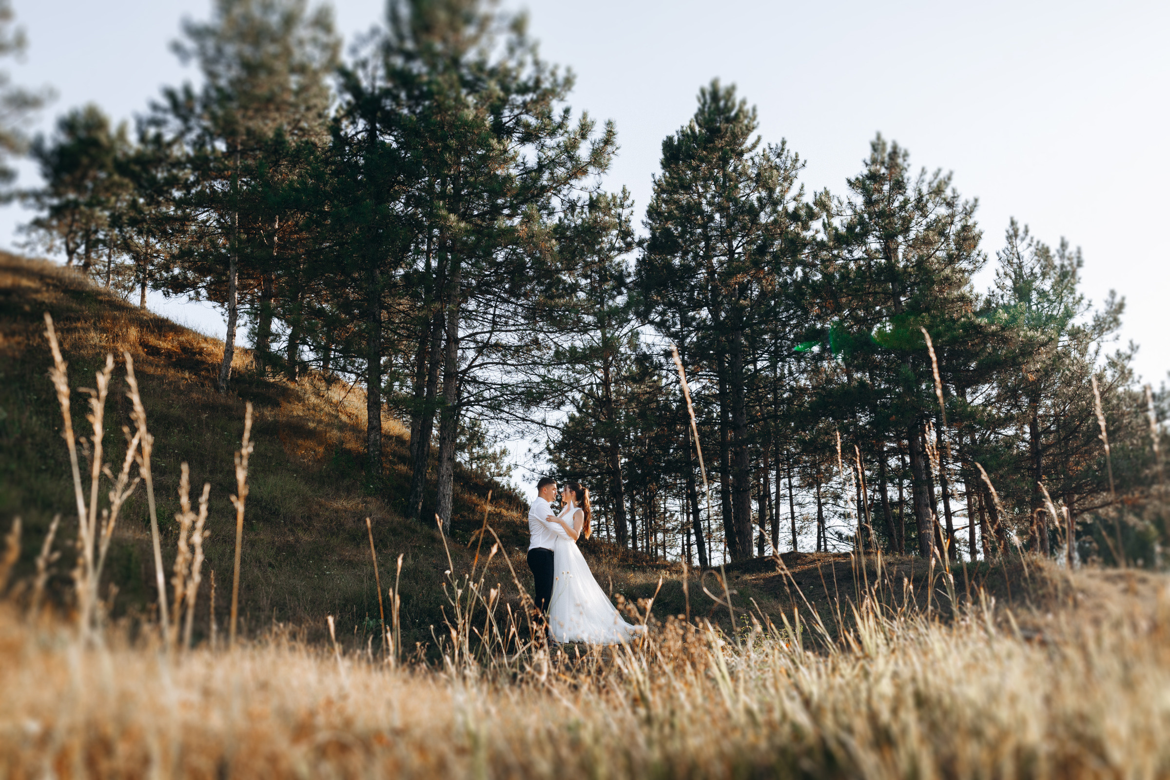 Sun. Wedding & Comercial Photography