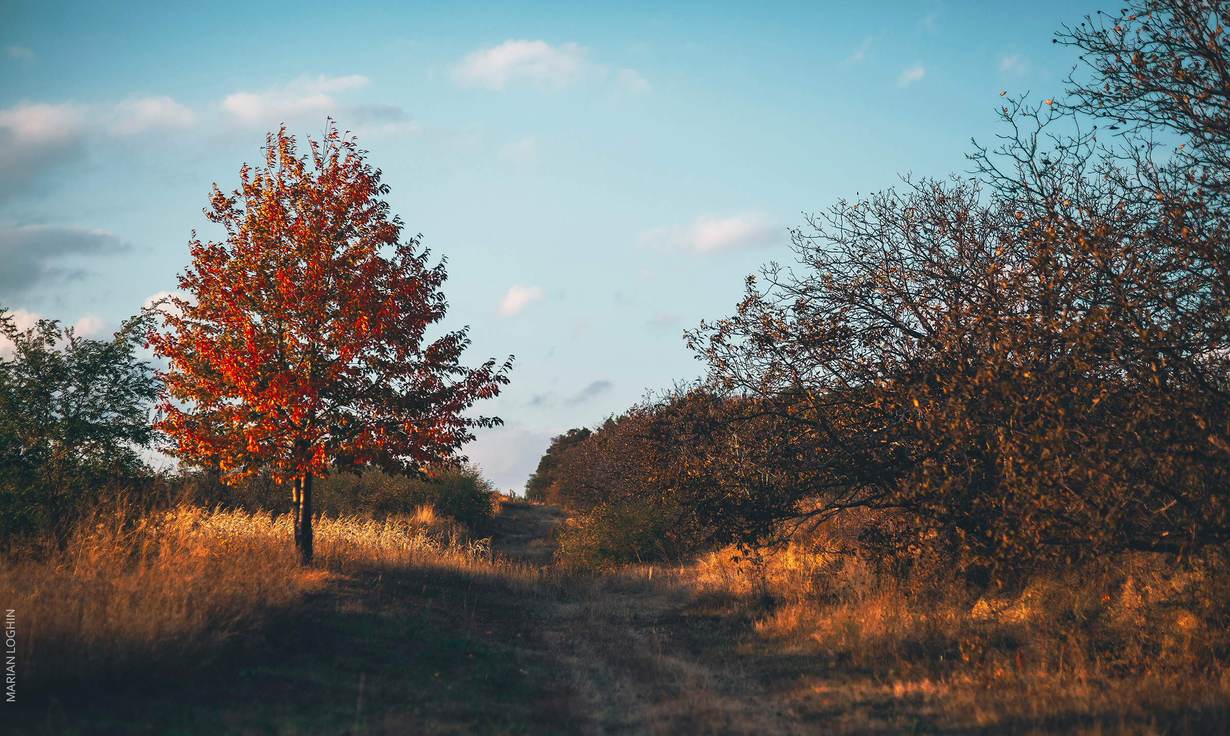 Travel2. Wedding & Comercial Photography