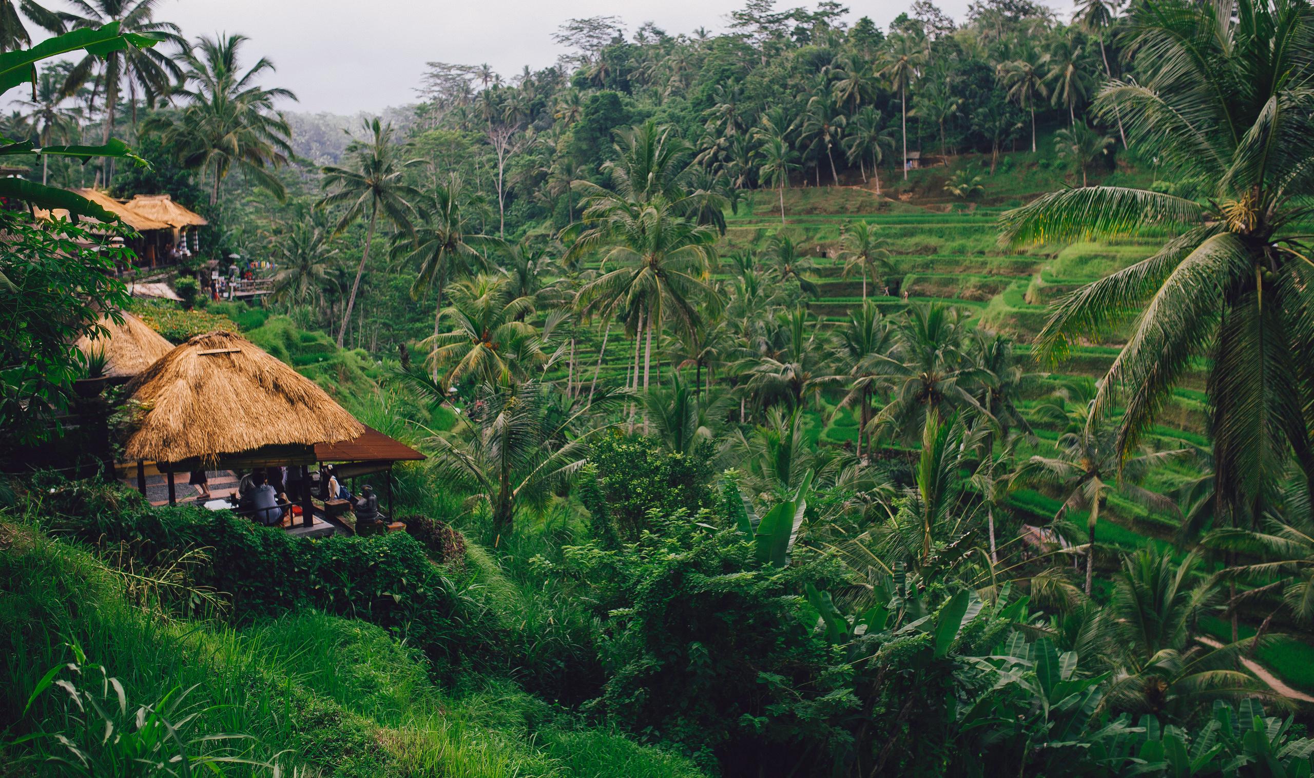 Travel2. Wedding & Comercial Photography