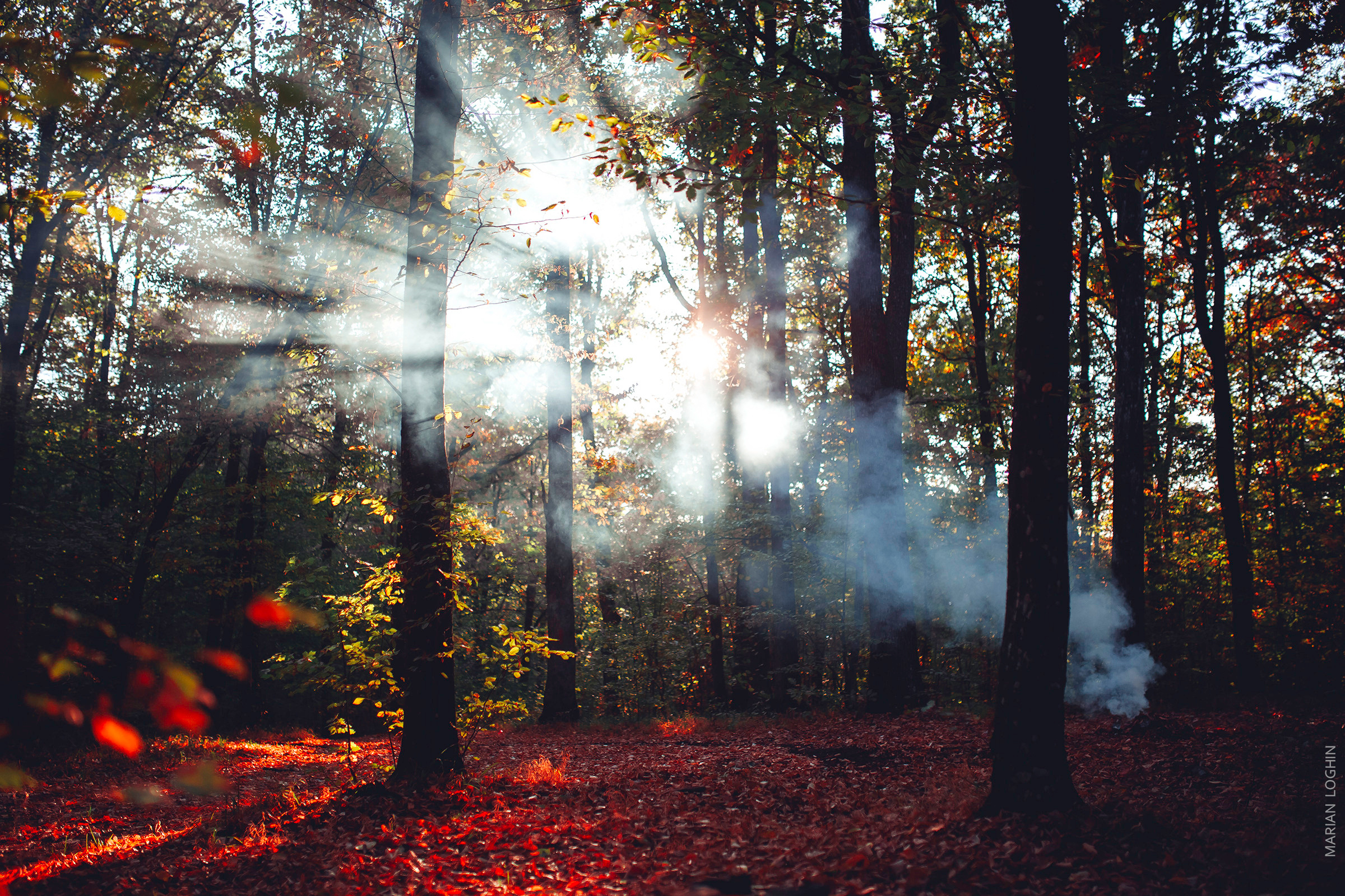 Travel2. Wedding & Comercial Photography