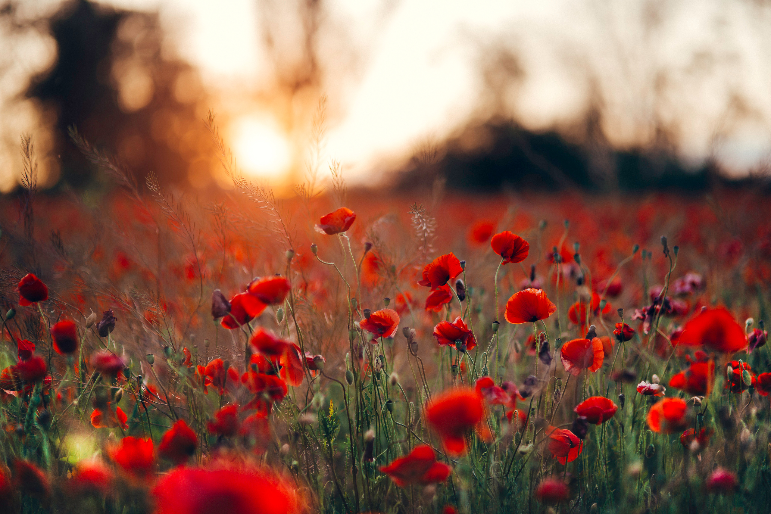 Travel2. Wedding & Comercial Photography