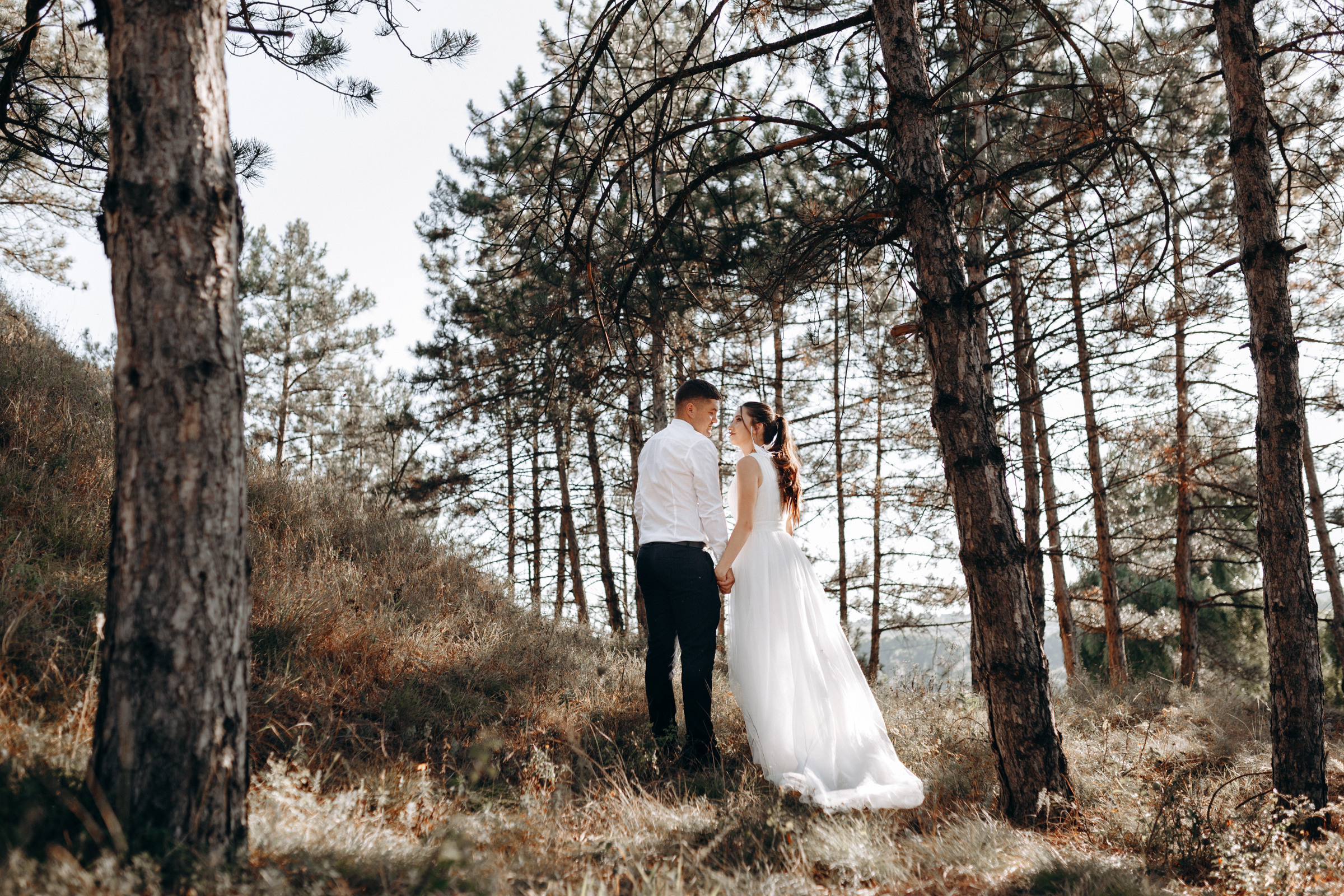 Sun. Wedding & Comercial Photography