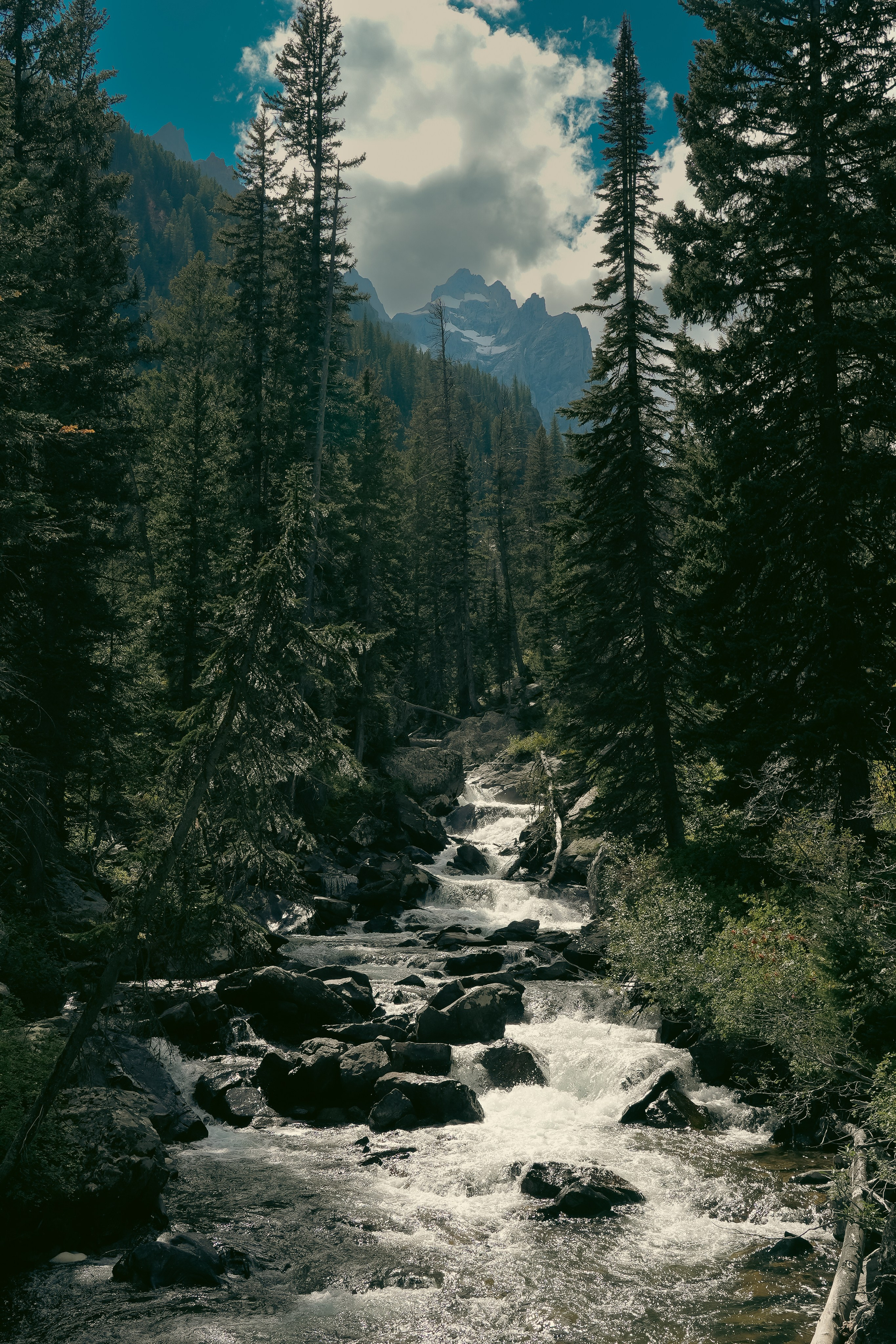 Photographer New York / Los Angeles