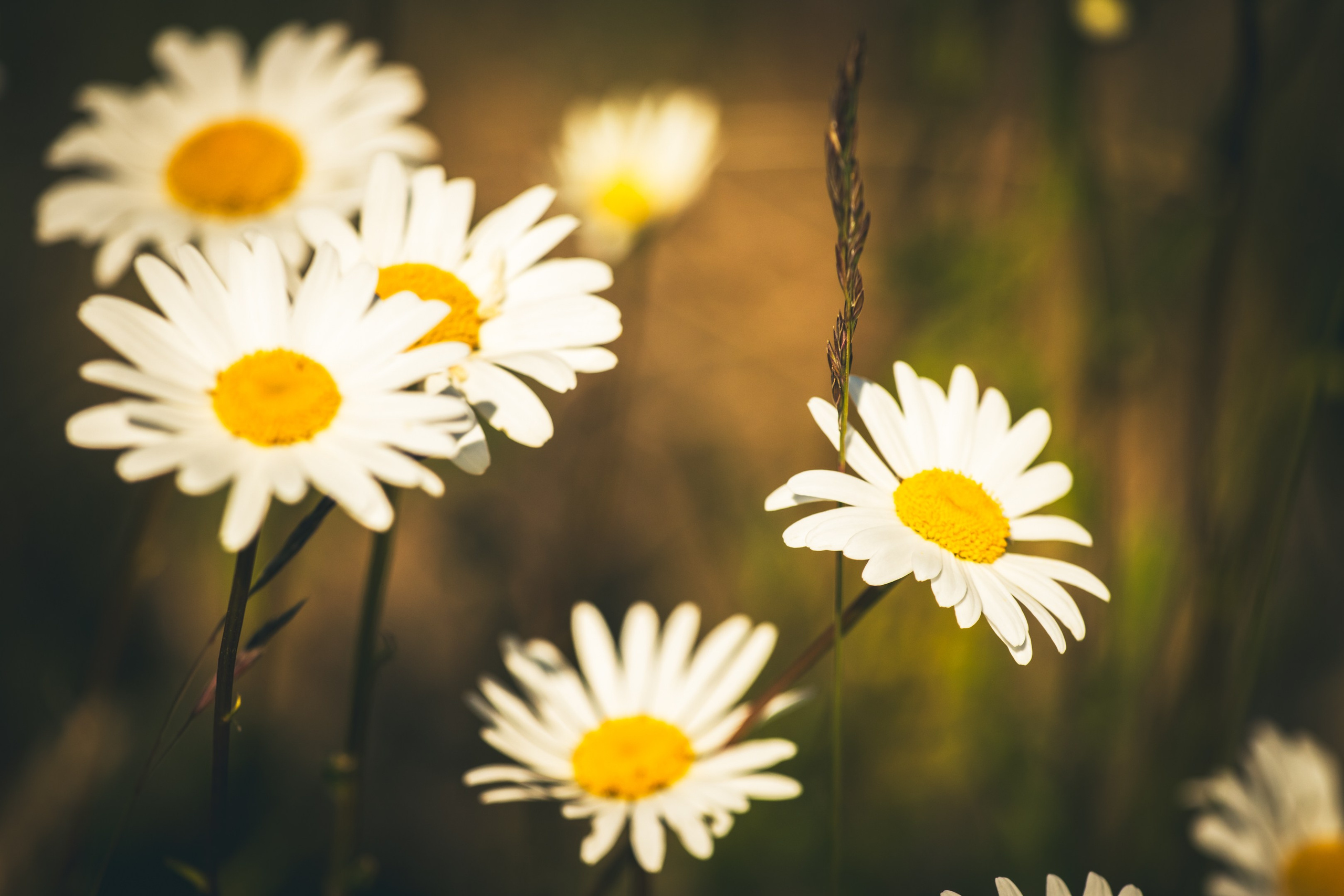Jalgrattasõit ümbruskonnas. Nebula 25 — Fotod teie hingele