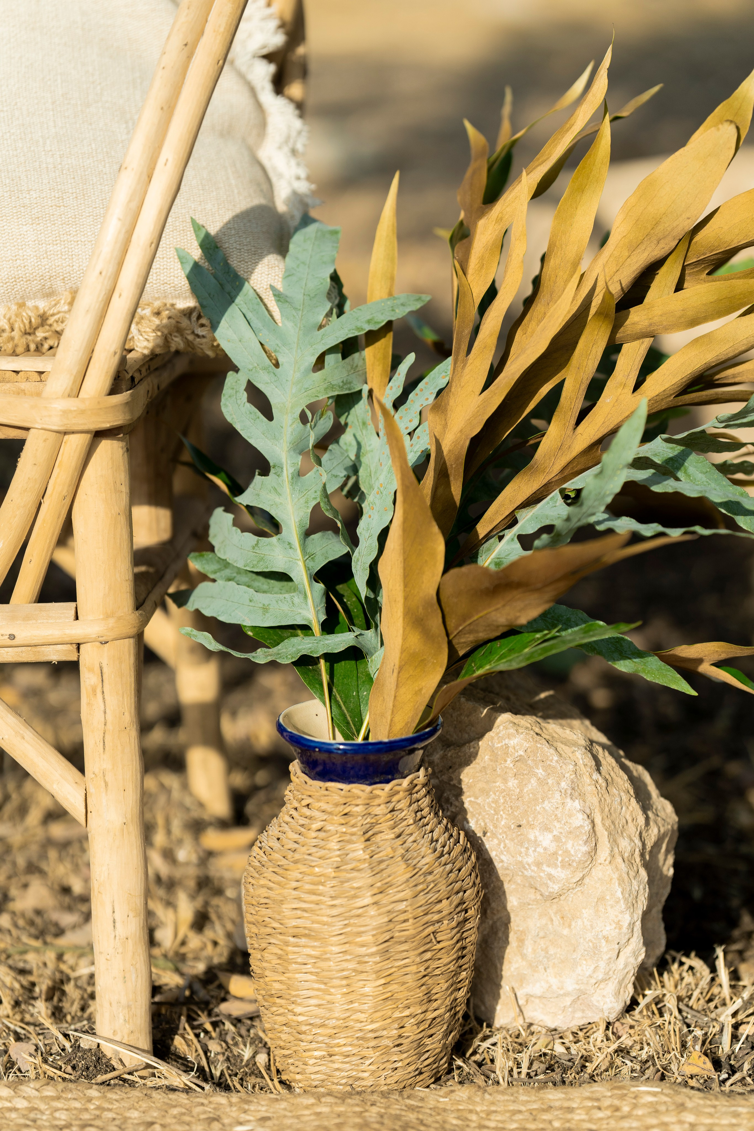 עדן ושלהבת. יוסף מזרחי צילום חתונה, ברית וזוגיות. צלם מקצועי שאוהב להוציא אתכם הכי יפים ברגעים הכי מרגשים