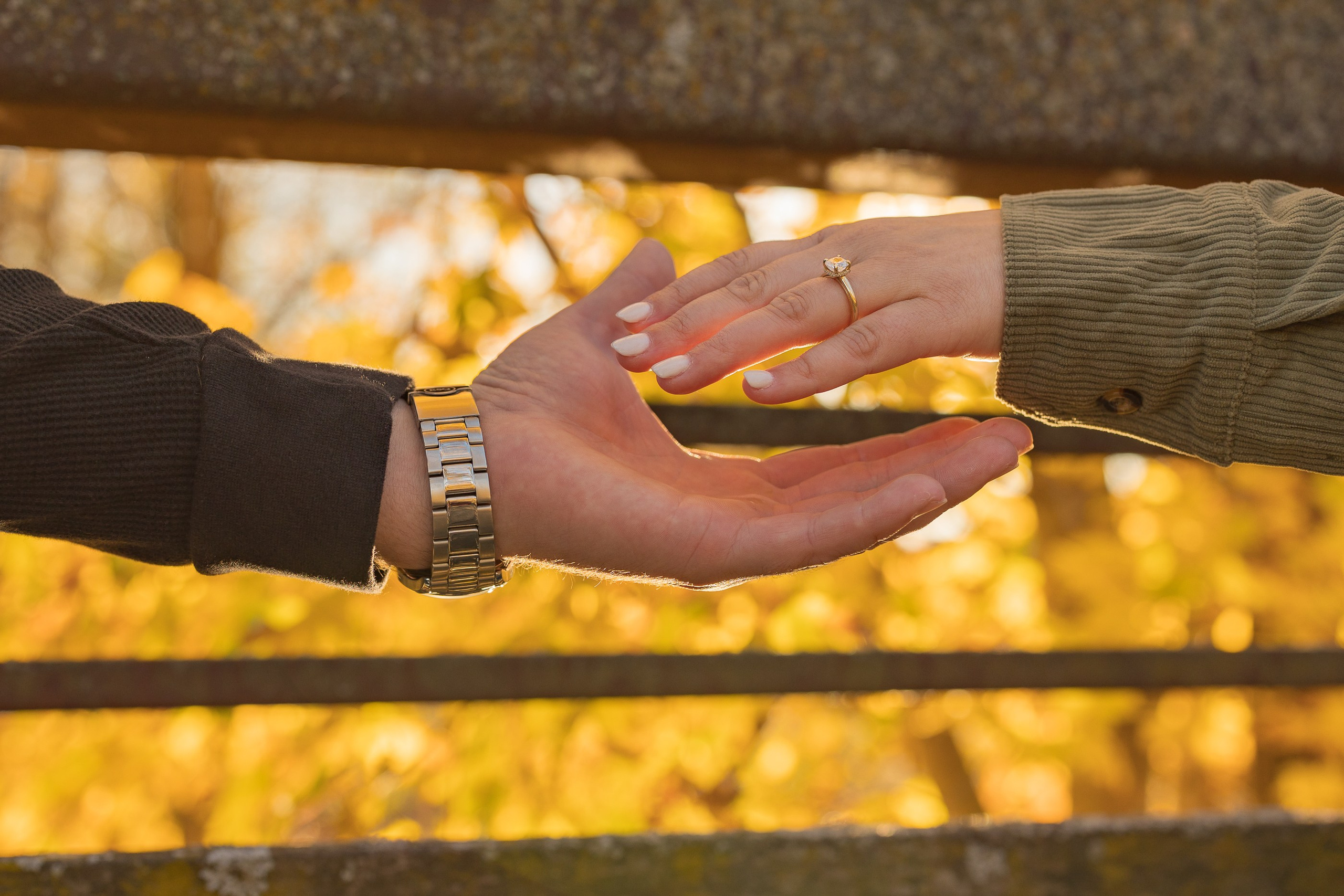 Family & Portraits. Pic-Cha Photography | Photographer & Media Content Creator | Metro Detroit Area, Michigan