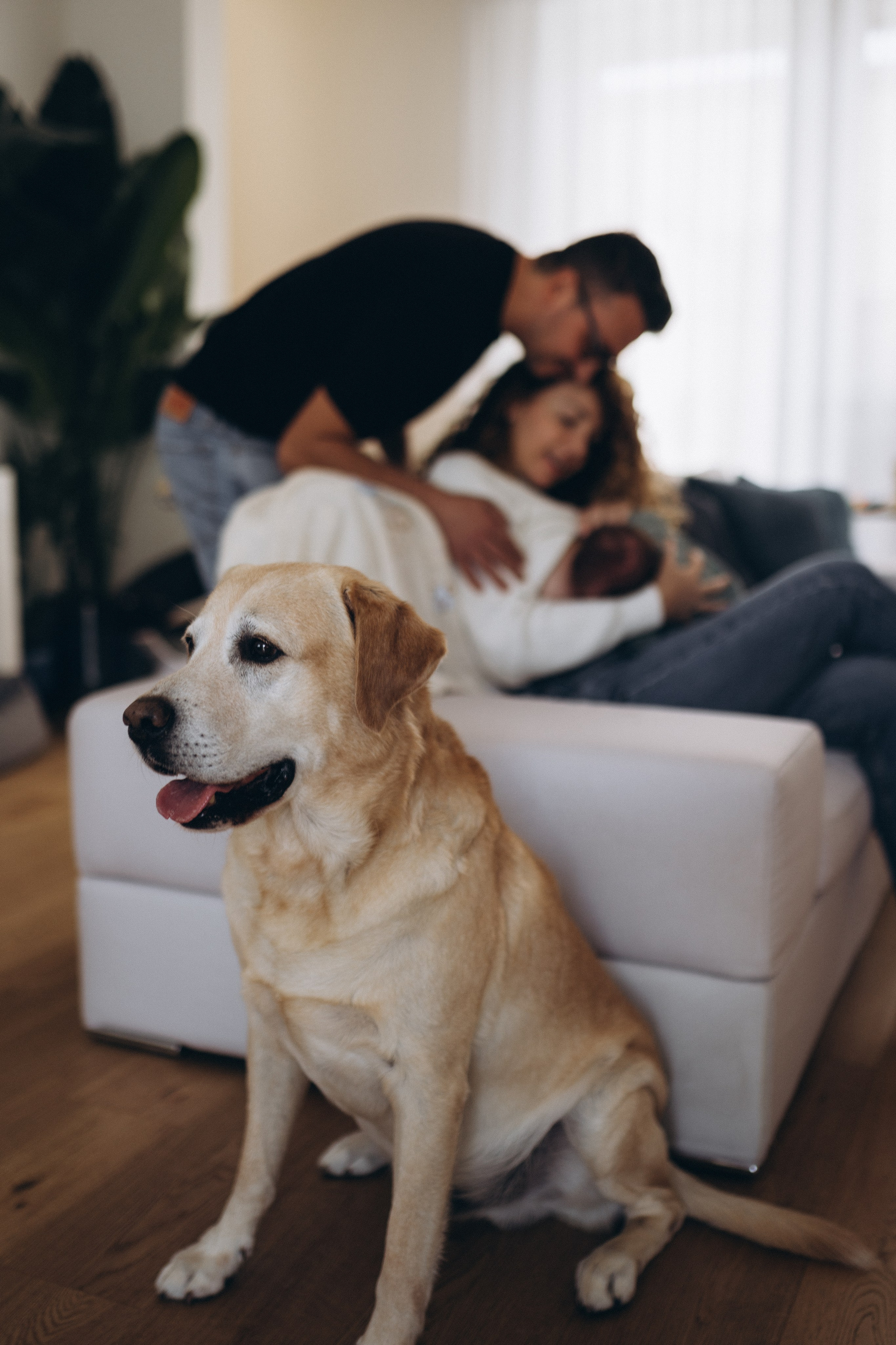 Servizio fotografico newborn a domicilio a Milano
