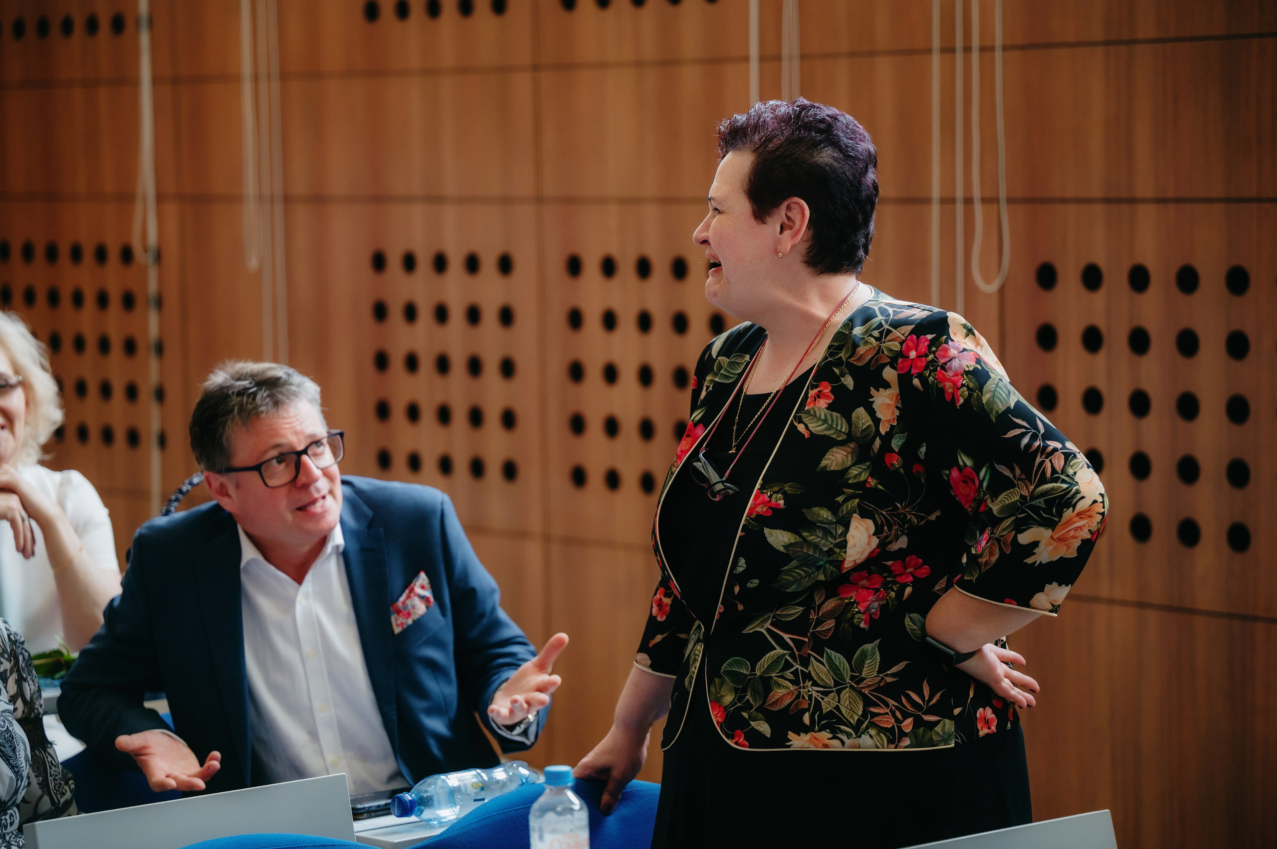 Medicina Veterinara — dupa 30 de ani…. Laurentiu Stefan StoryTeller