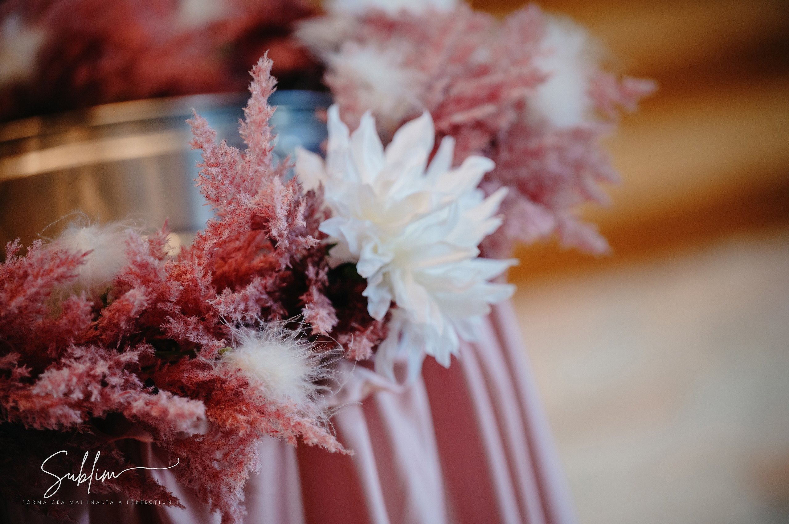 Sublim. Laurentiu Stefan StoryTeller