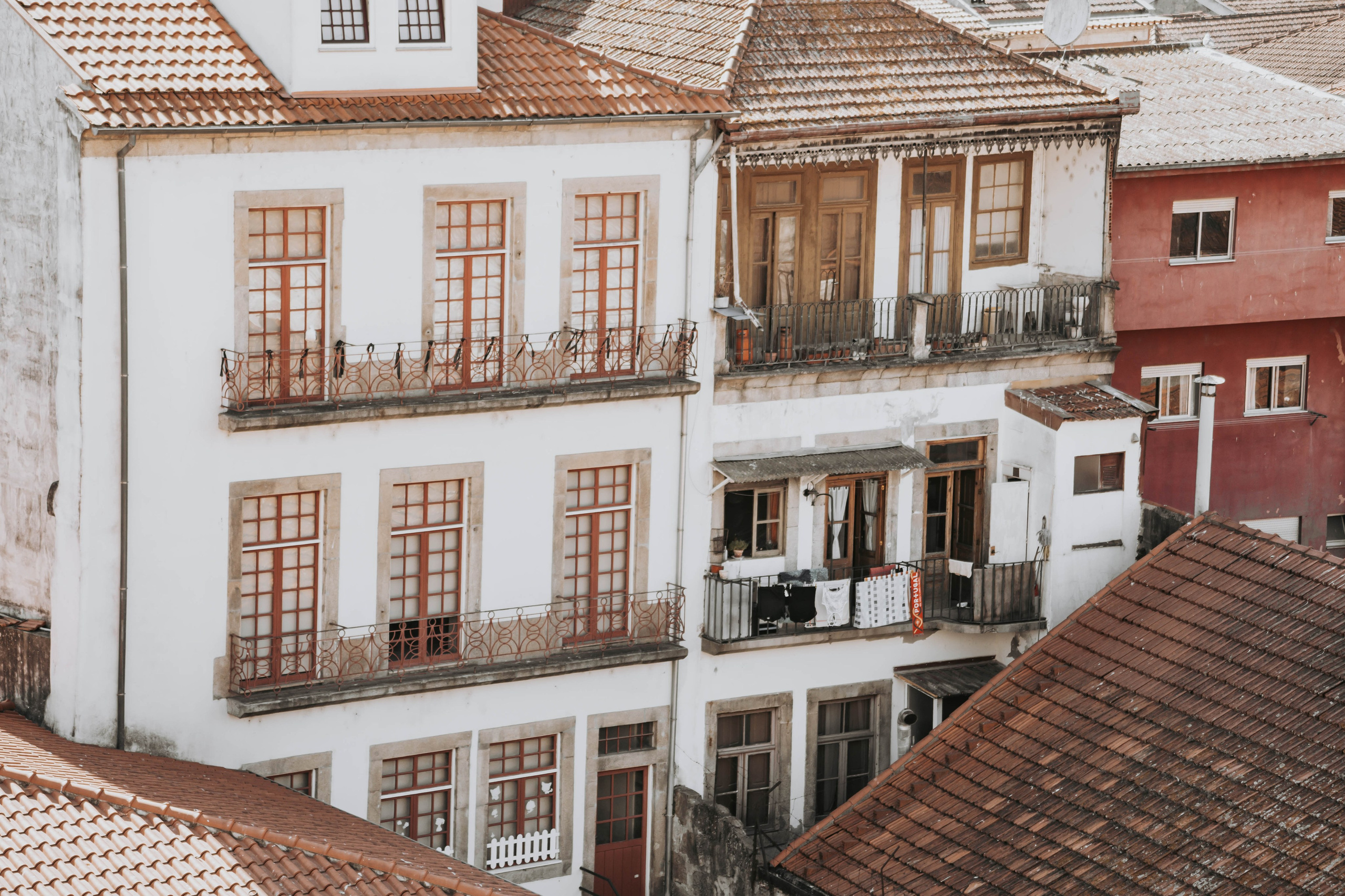 Porto, Agosto 2024. Alba del Norte Studio