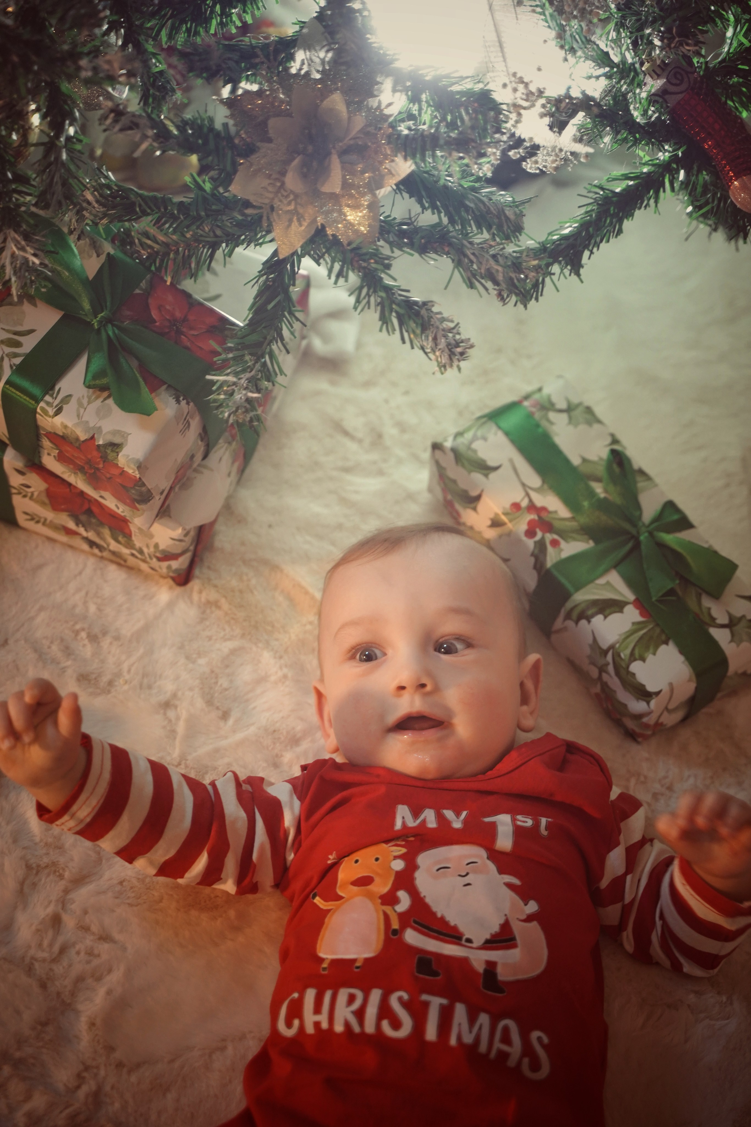 Гномик под елочкой. Фотограф. Визуал. Хайфа. Талья Цветкова