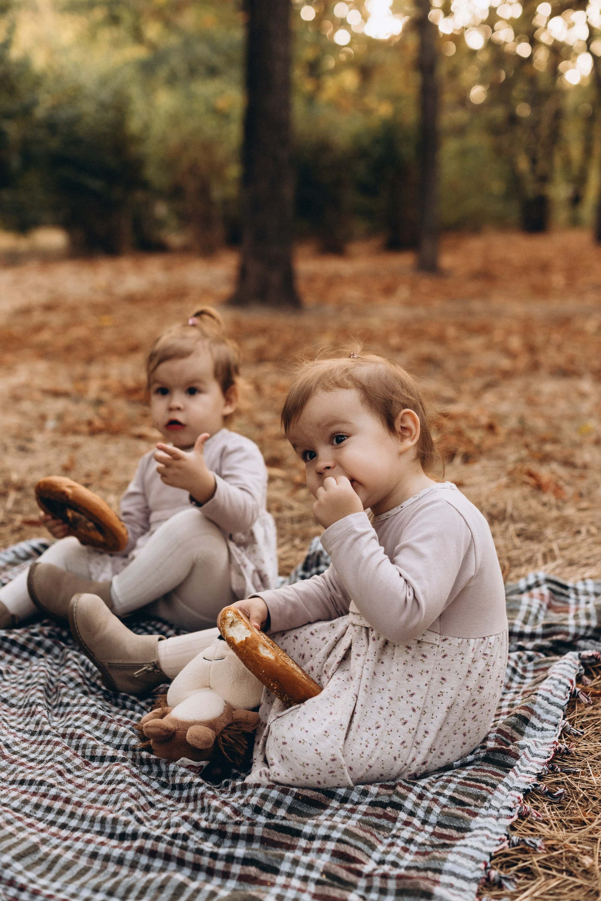 *. Wedding and family photographer San Diego