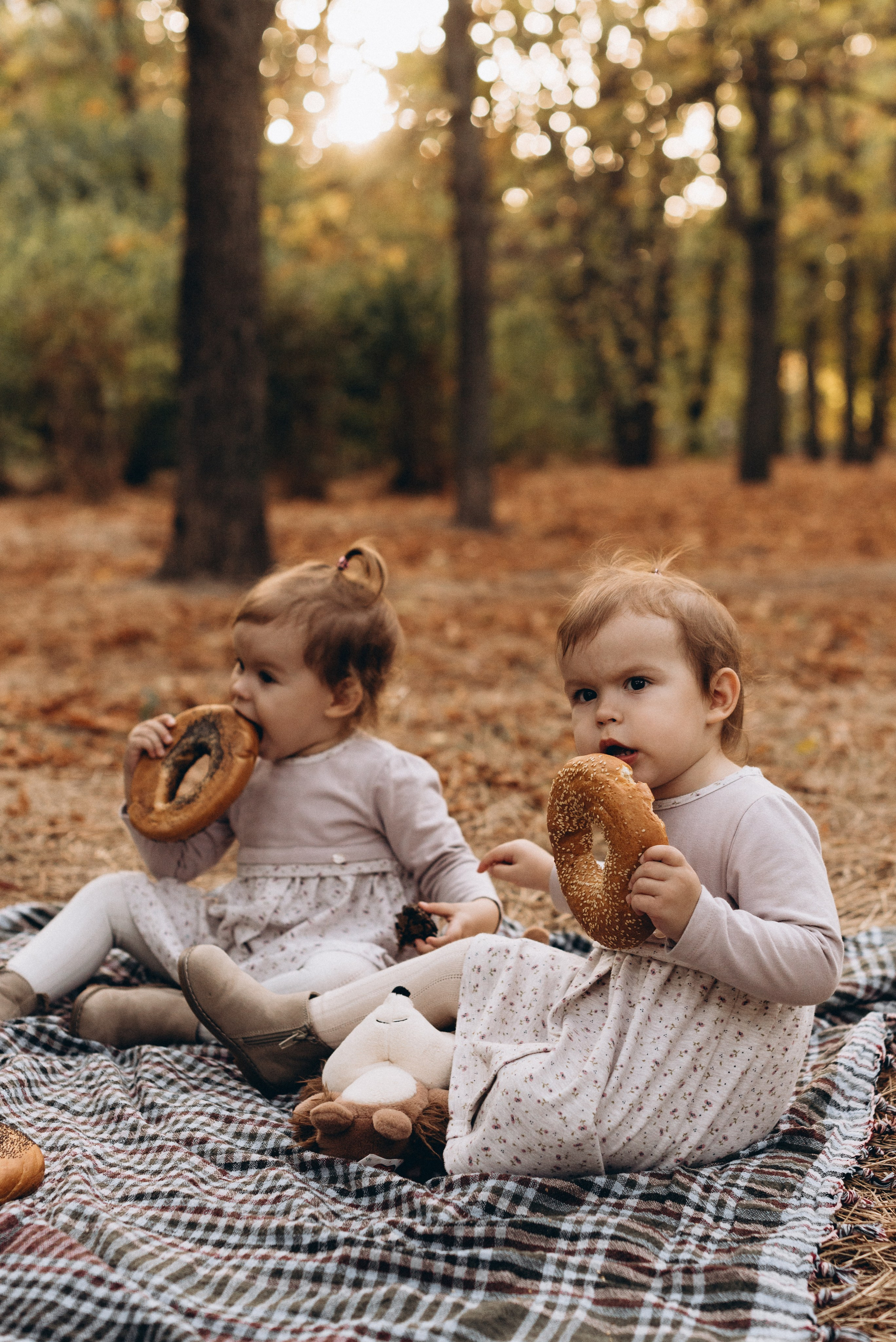 *. Wedding and family photographer San Diego