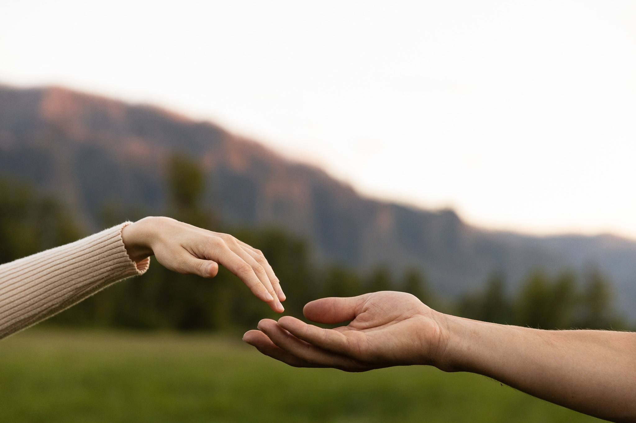 V | A. Family and Wedding photographer