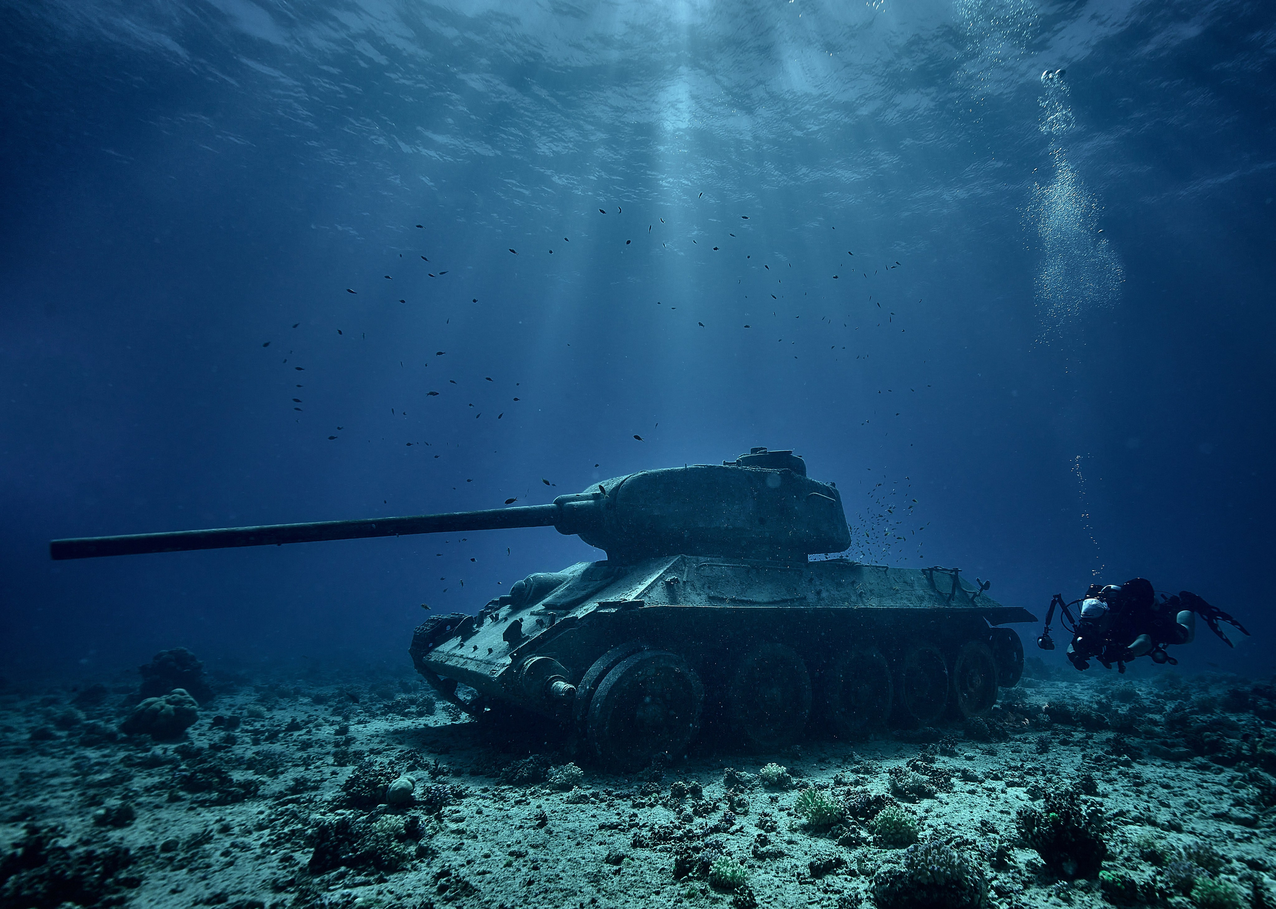 Podwodny fotograf - Andriej Szypiłow - zdjęcia wraków. Andriej Szypilow - Fotografia & Wideografia