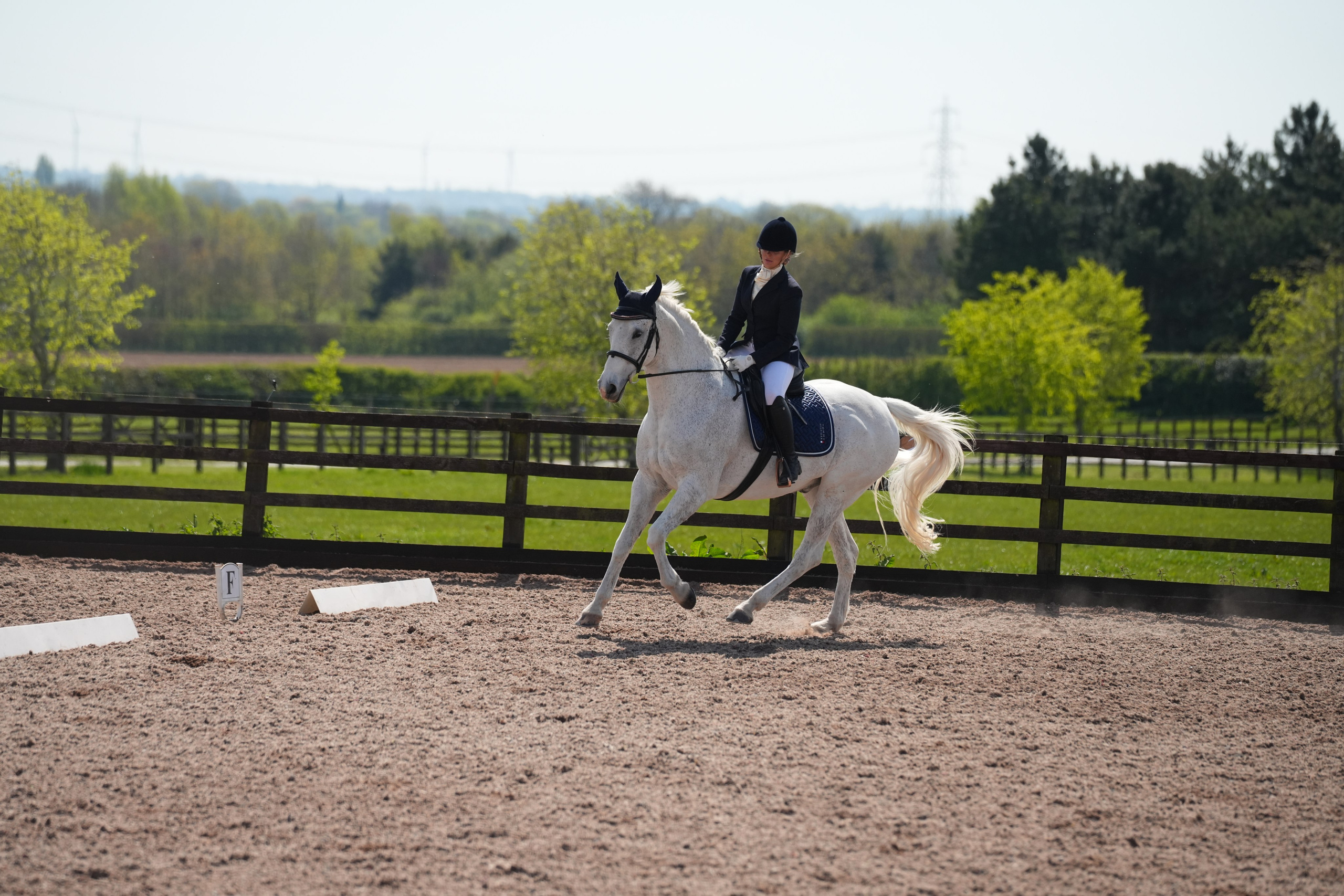 Dressage. Leicestershire Equine Photography by El | Authentic Equine Portraits & Events