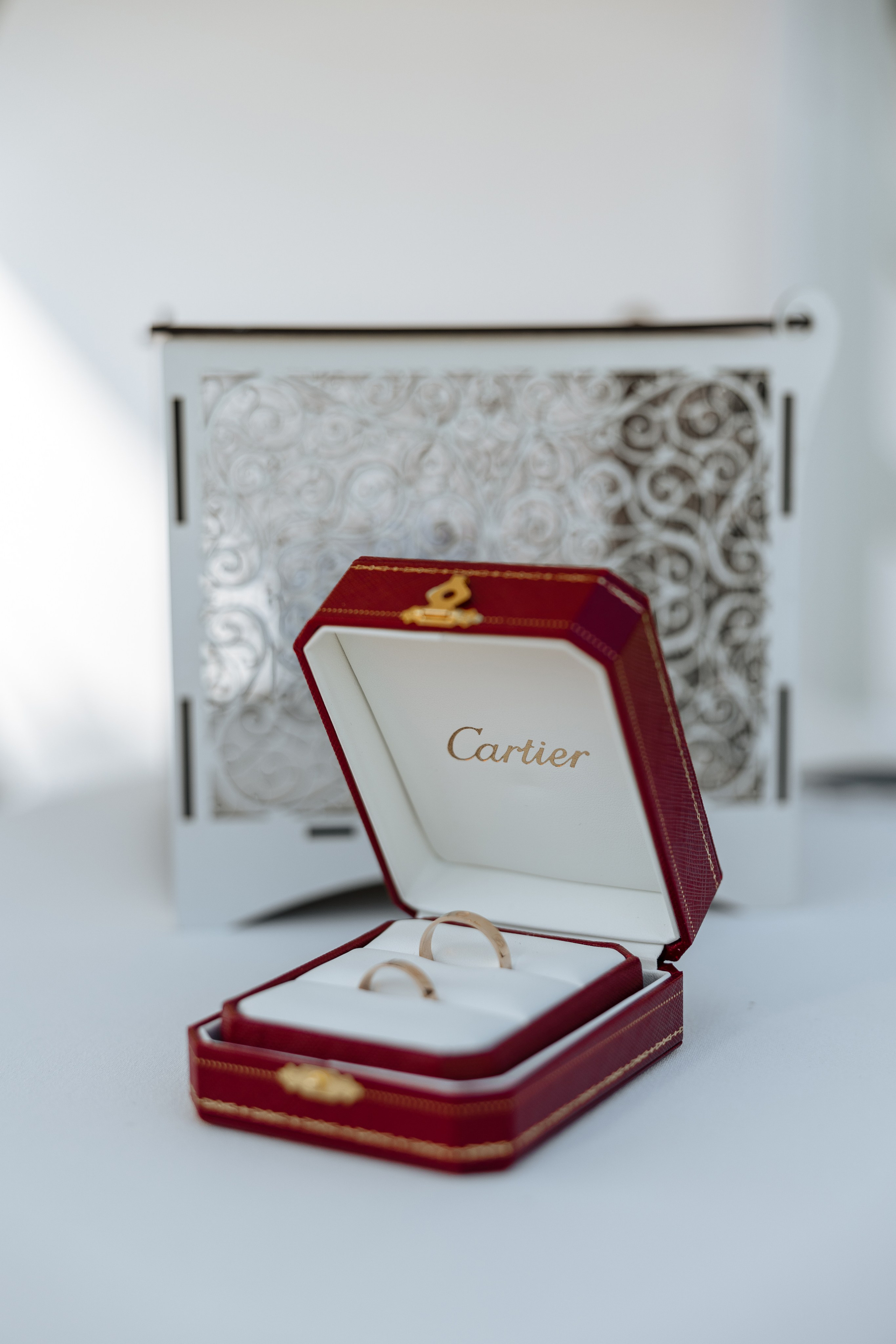 Darina Artem. Ірина Терещук