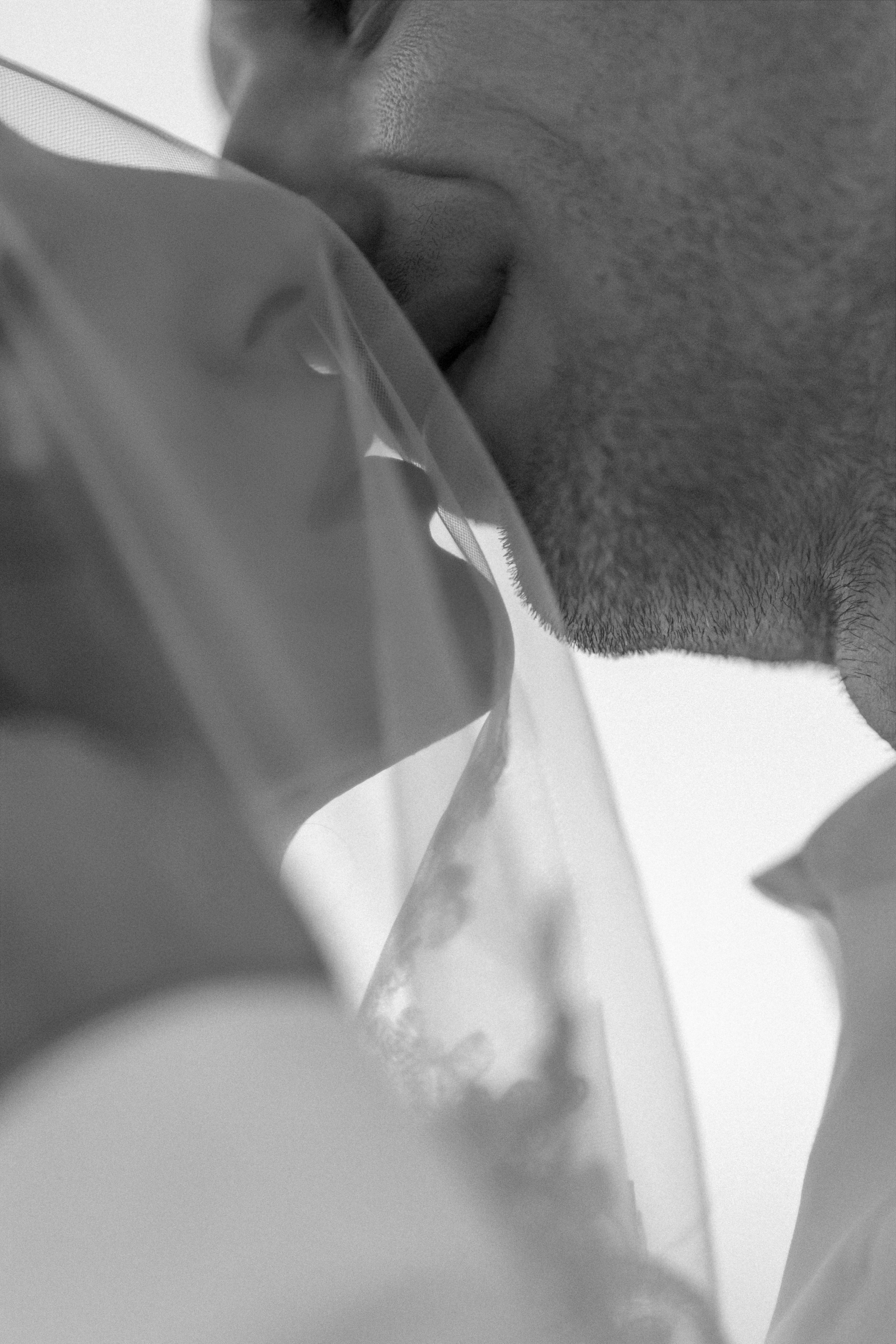 Love is…. Фотограф Ирина Йотова