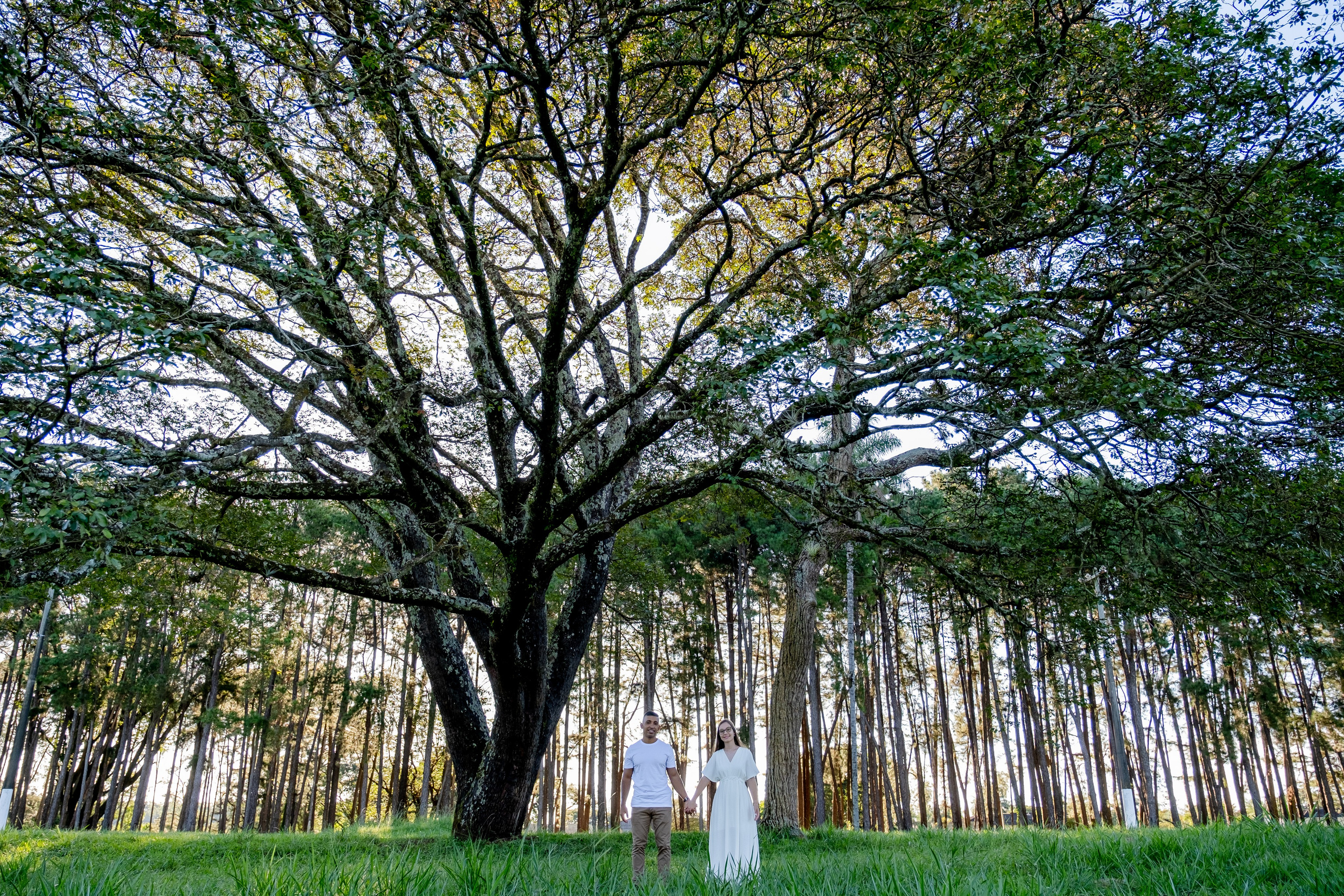 Ensaios. Morcelli Fotografia