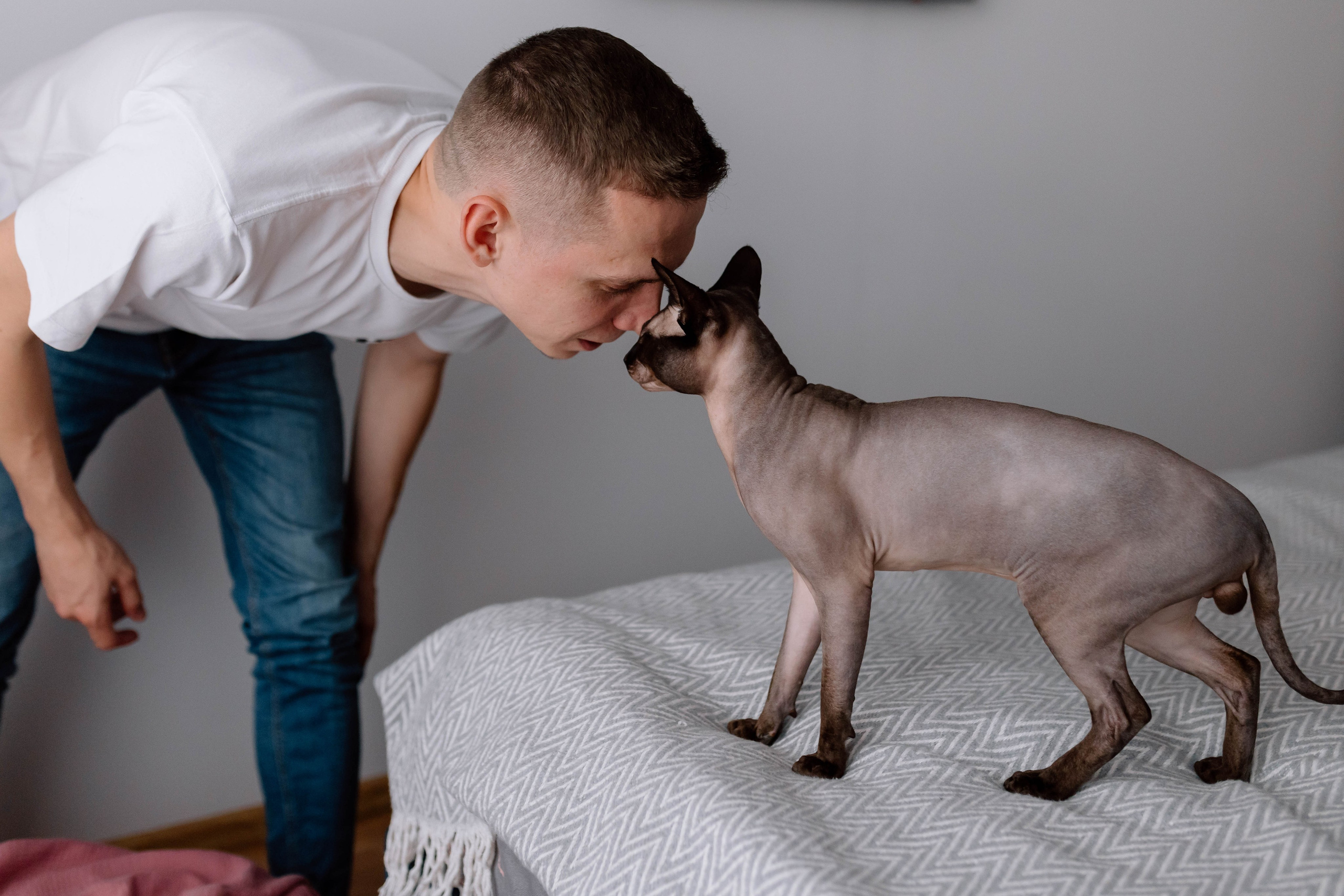 Anastasia — Newborn. Main