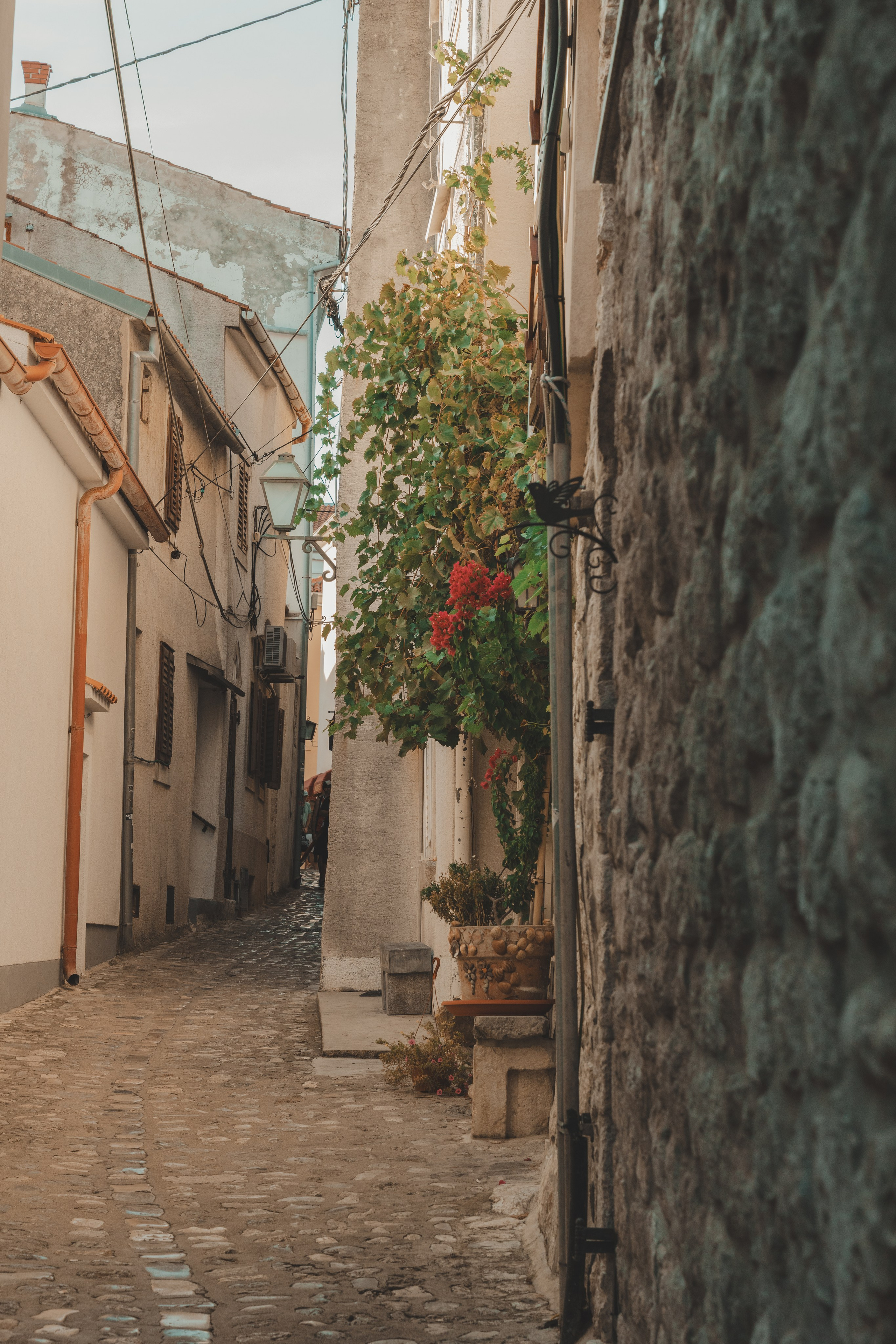 Street & dokumentarno