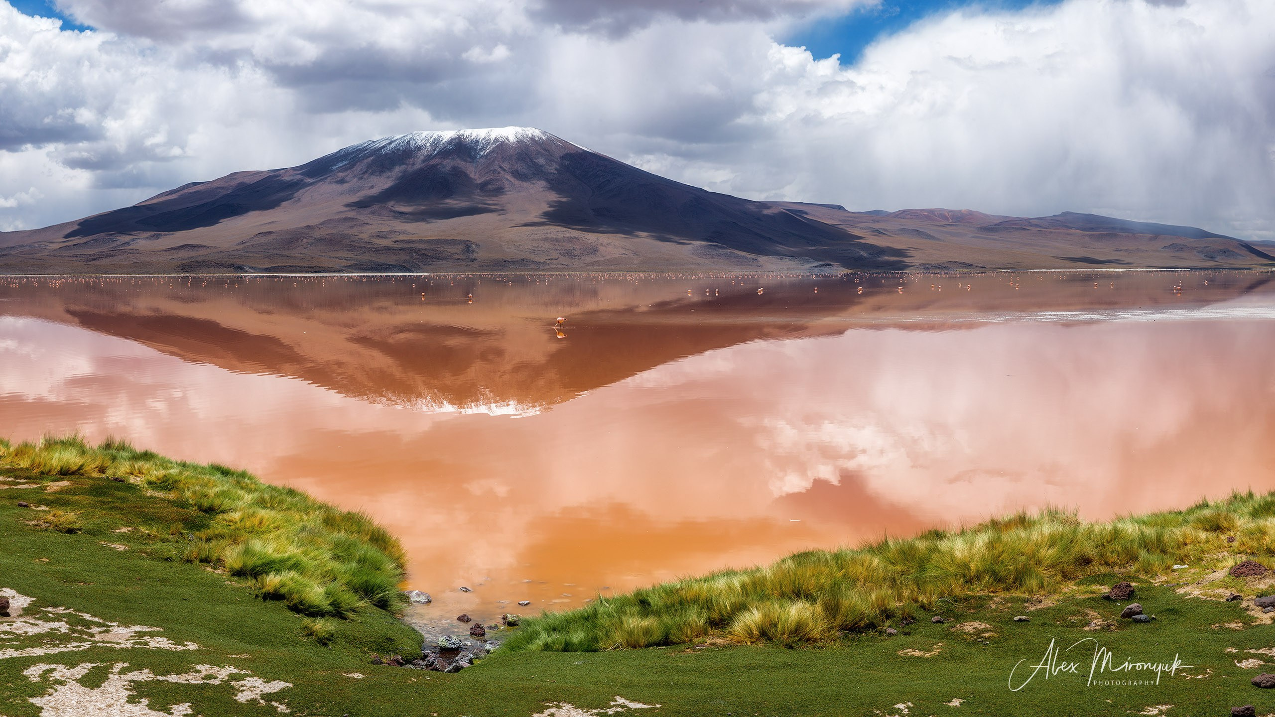 Bolivia Adventure — 2025. Pet, Senior, Landscape, portrait studio, photographer in Miami and Sou