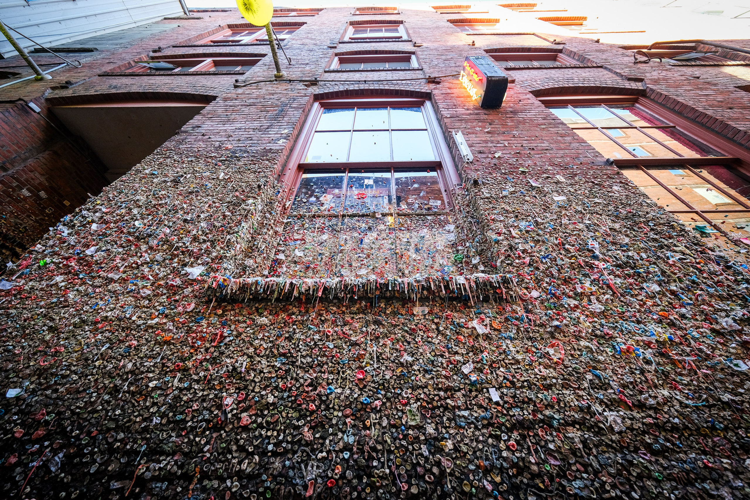 WASHINGTON / SEATTLE. Reportage concert portrait photography in the San Francisco Bay Area