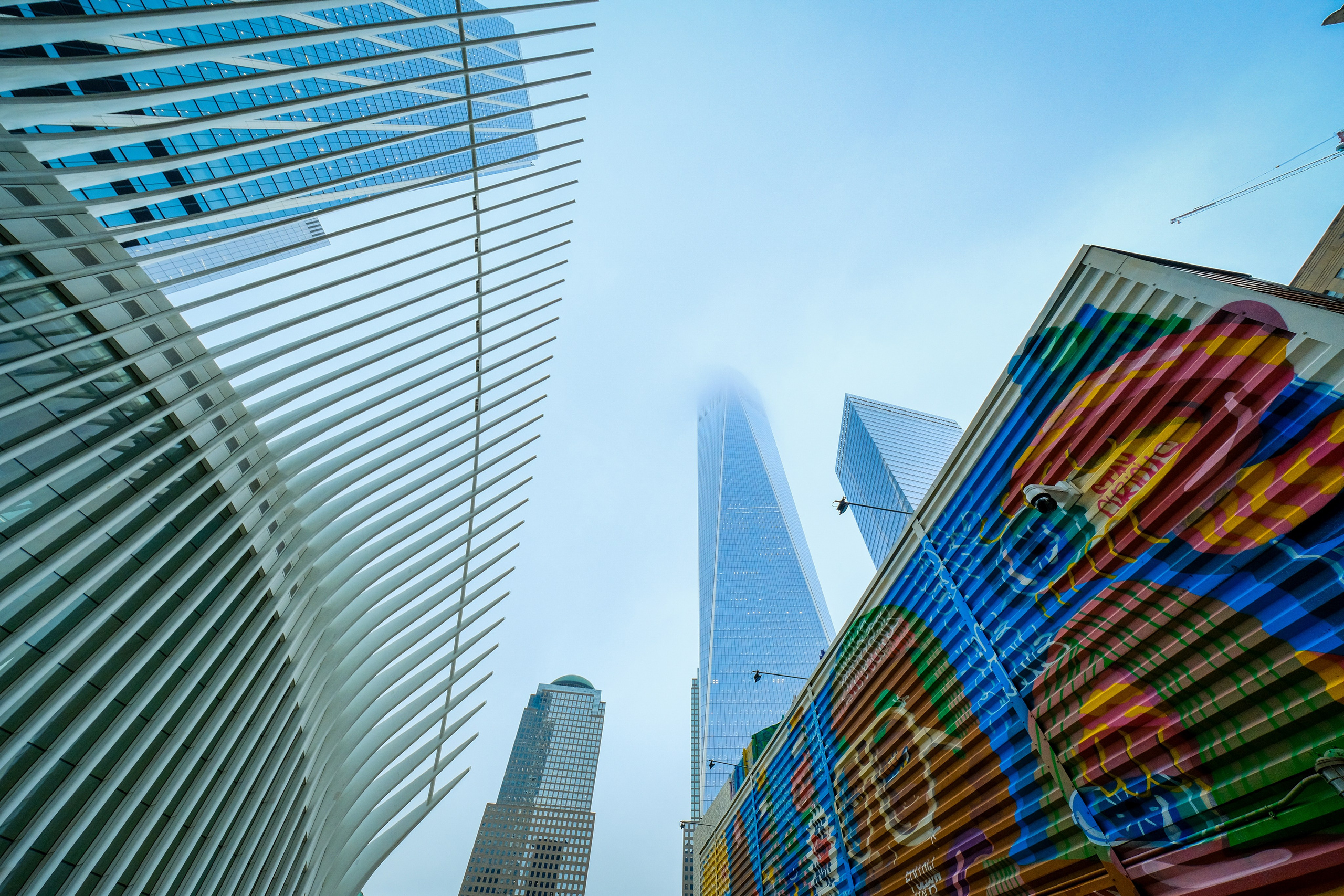 NEW YORK / 2025. Reportage concert portrait photography in the San Francisco Bay Area