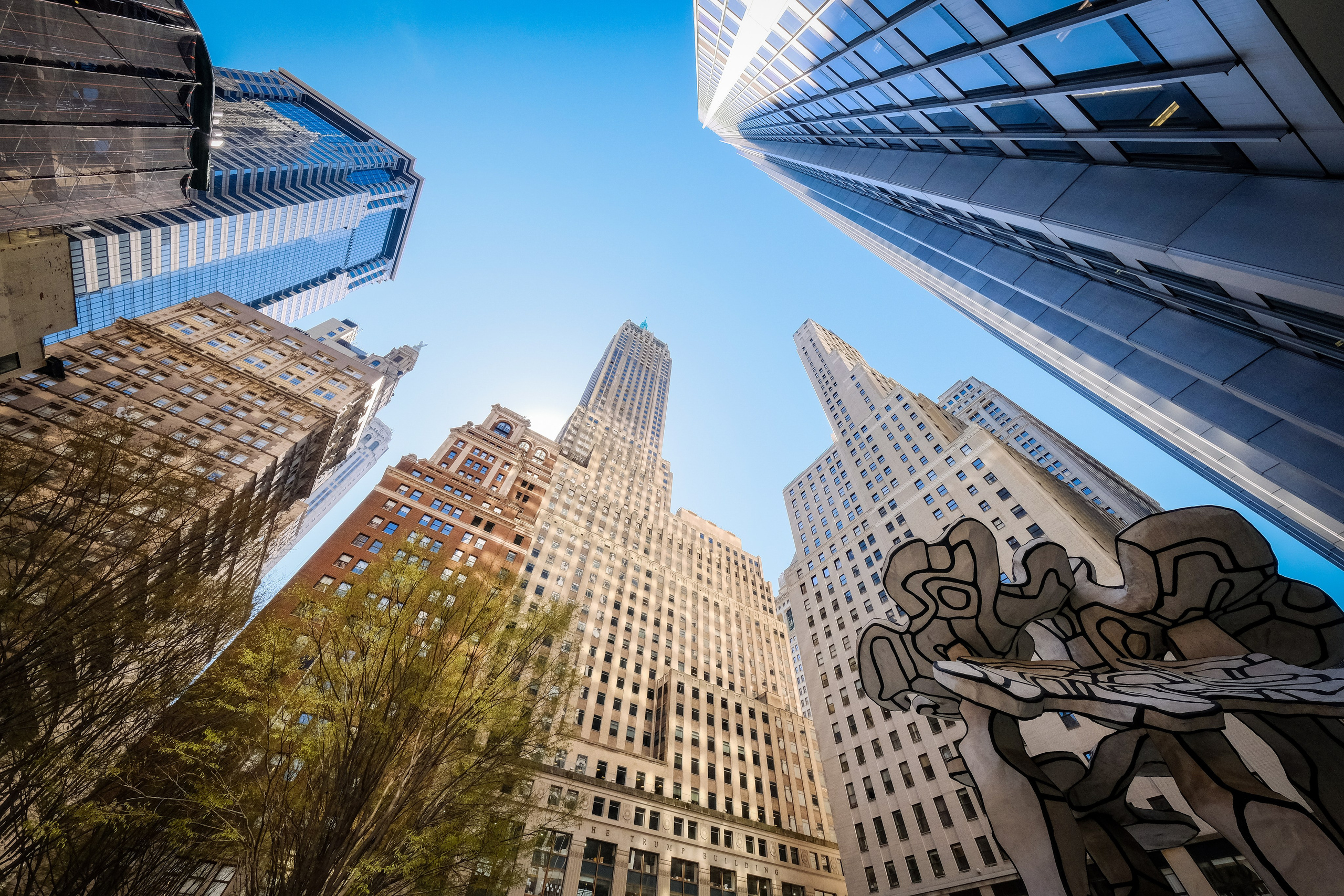 NEW YORK / 2025. Reportage concert portrait photography in the San Francisco Bay Area