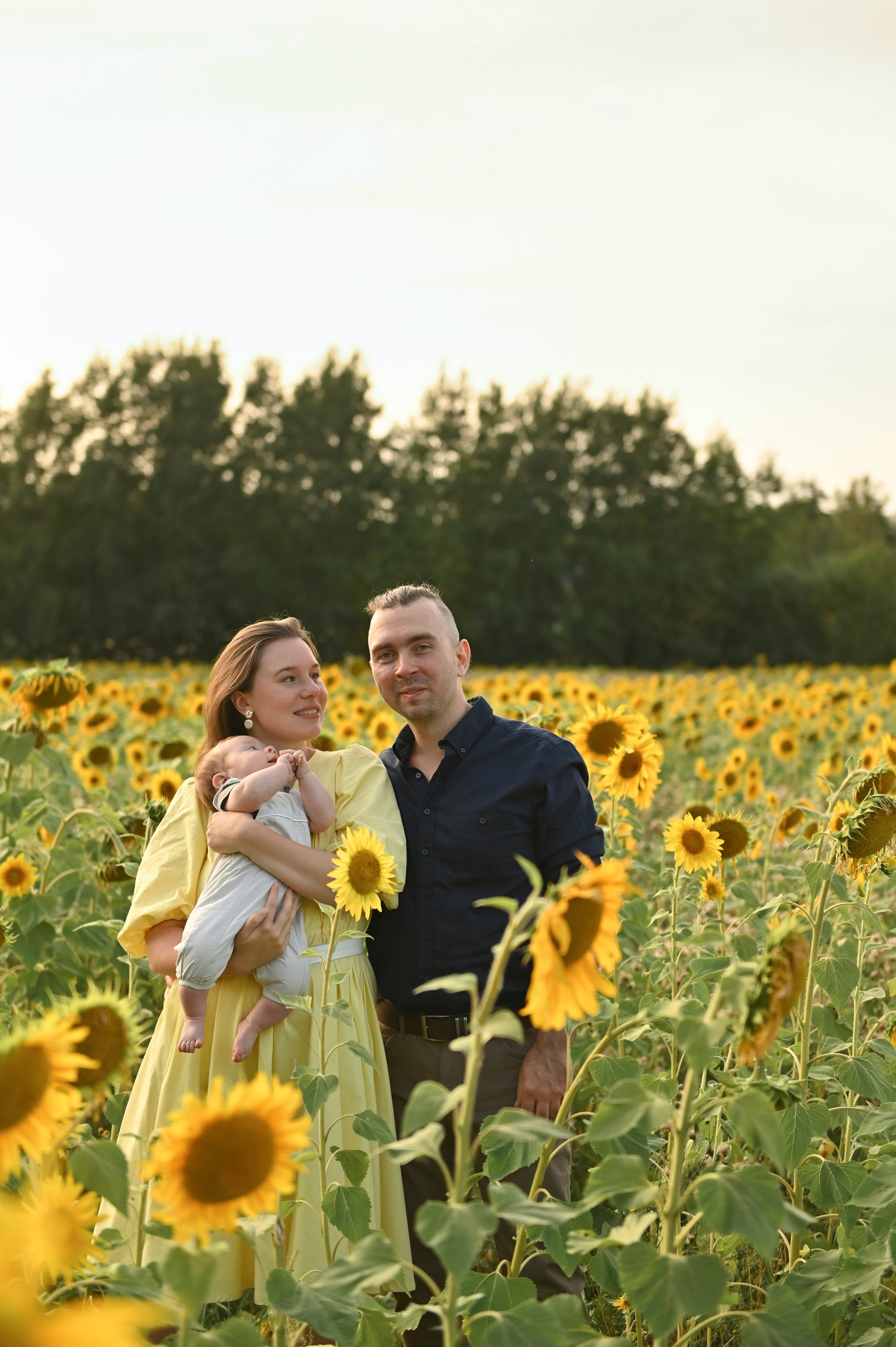 Подсолнухи. Детский и семейный фотограф в финляндии дина пулкка. контент фотограф